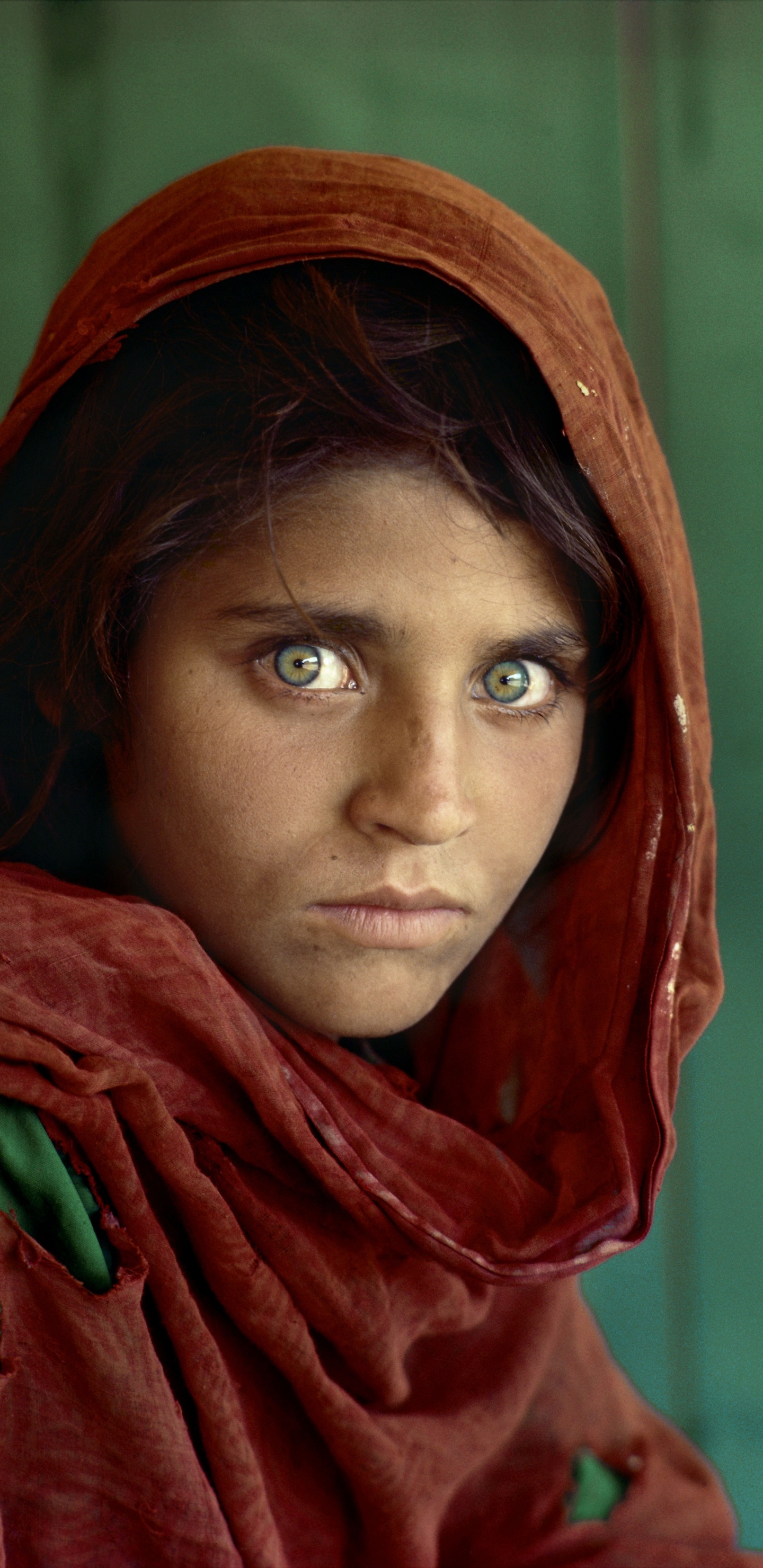 Обои афганская девочка, Афганистан, национальный географический, лицо, глаз в разрешении 1440x2960
