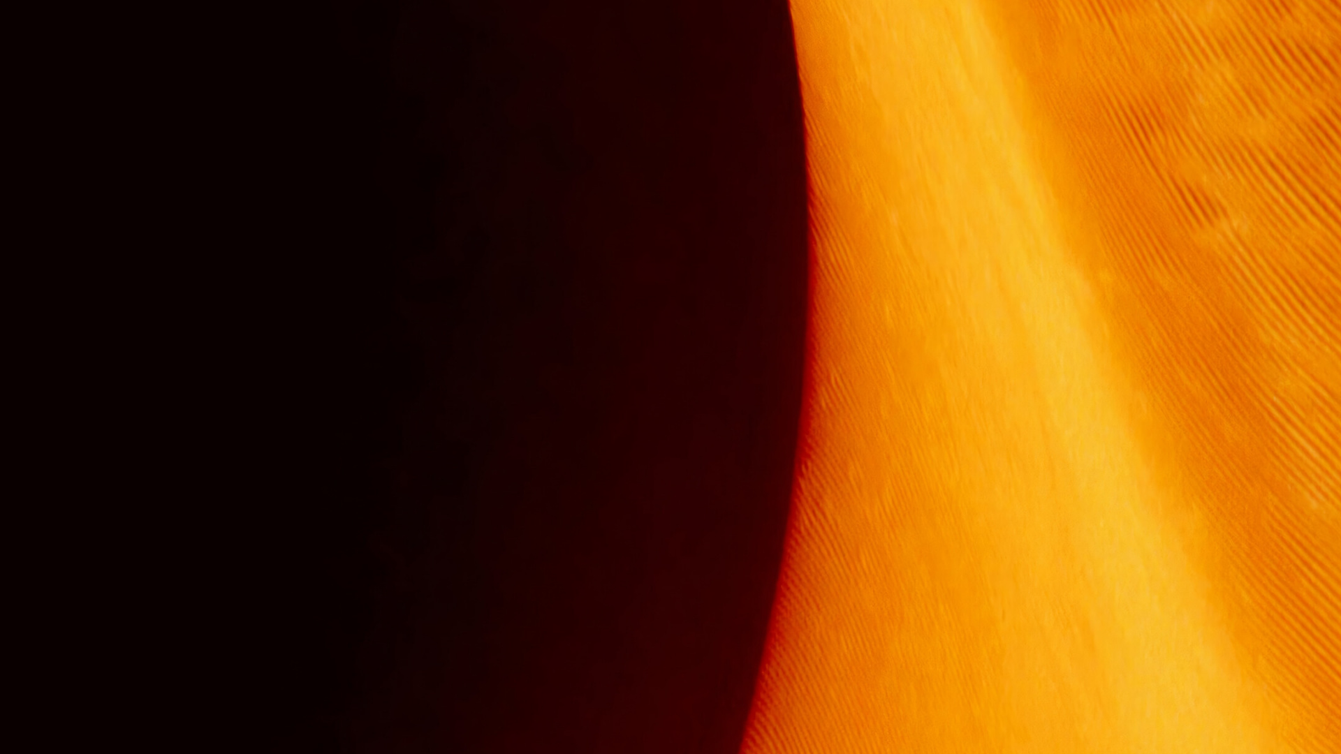 Обои Плакат с дюной без текста, постер, Научная фантастика, Постер фильма, коричневый цвет в разрешении 1920x1080