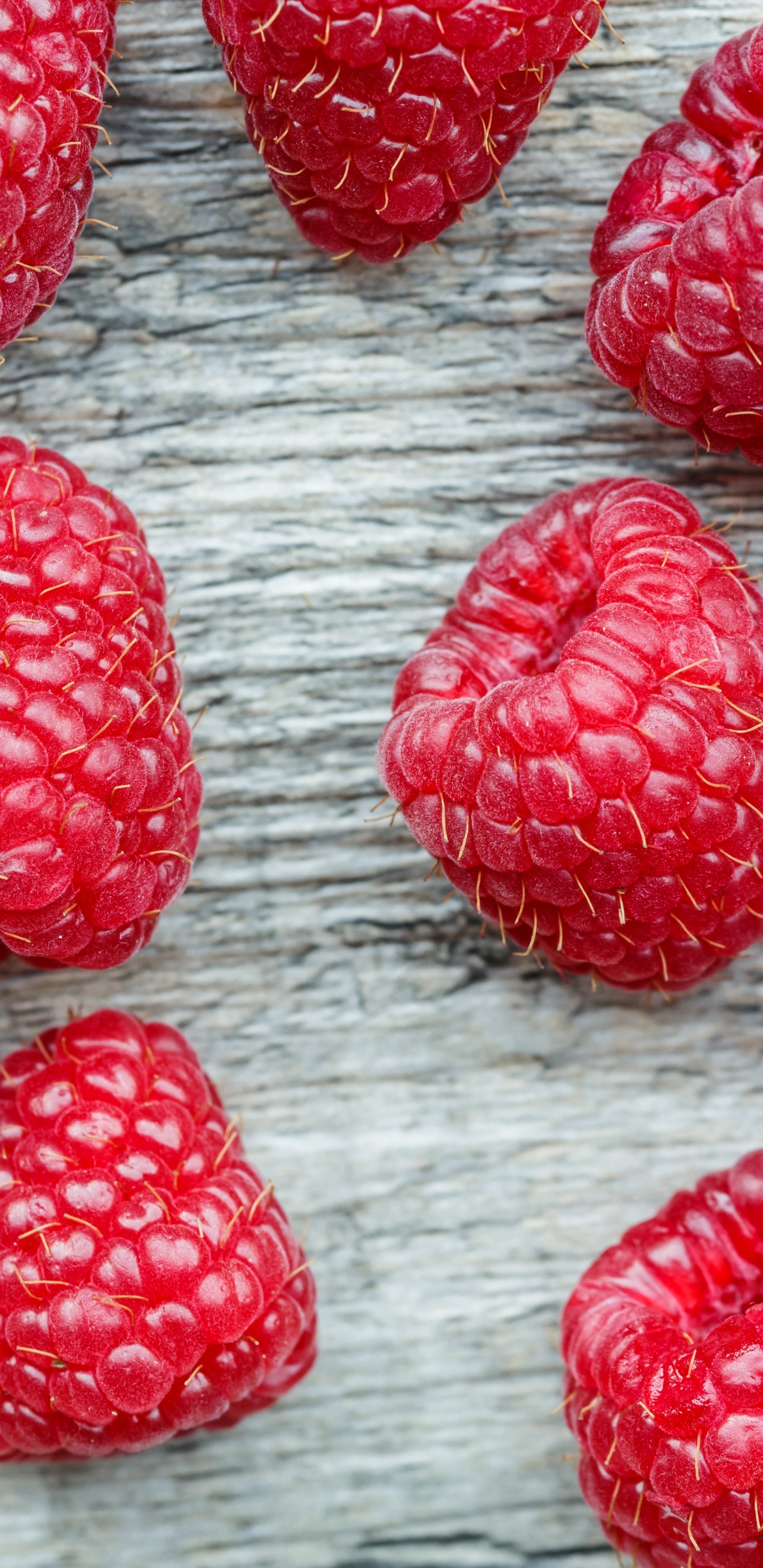 Обои ягоды, Красная малина, фрукты, клубника, пища в разрешении 1440x2960