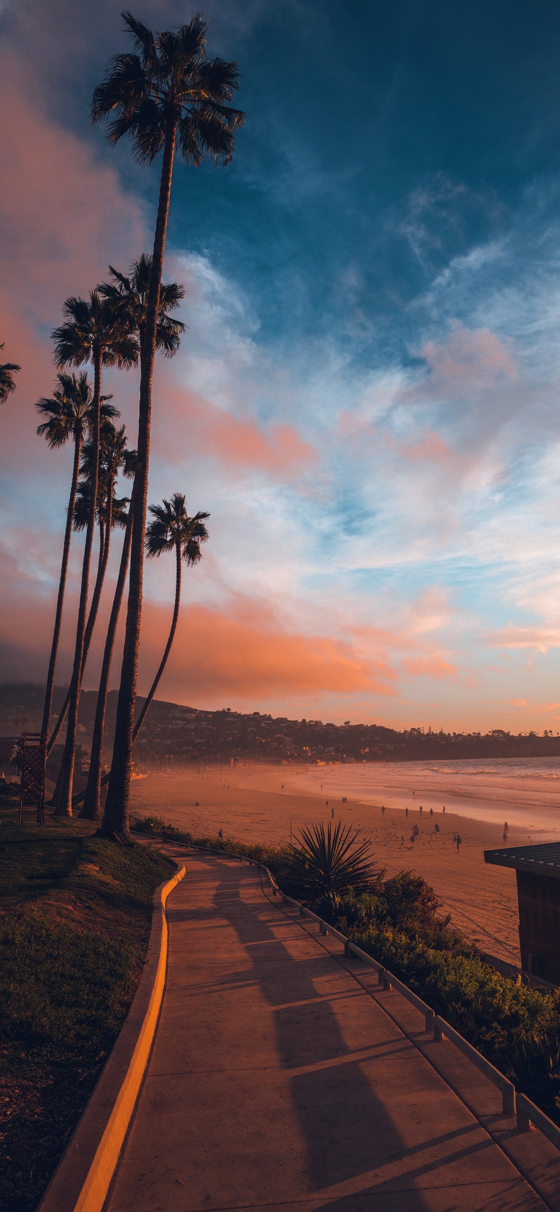 Обои словарь неясных печалей, ла-Джолла, облако, растение, послесвечение в разрешении 1125x2436