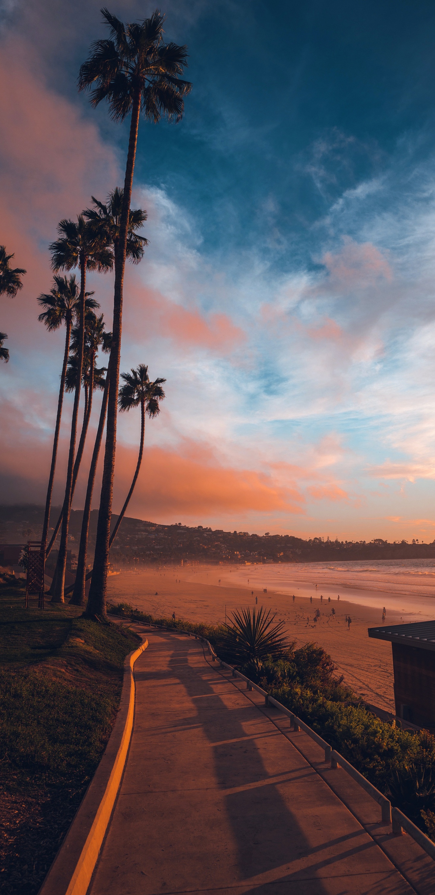 Обои словарь неясных печалей, ла-Джолла, облако, растение, послесвечение в разрешении 1440x2960