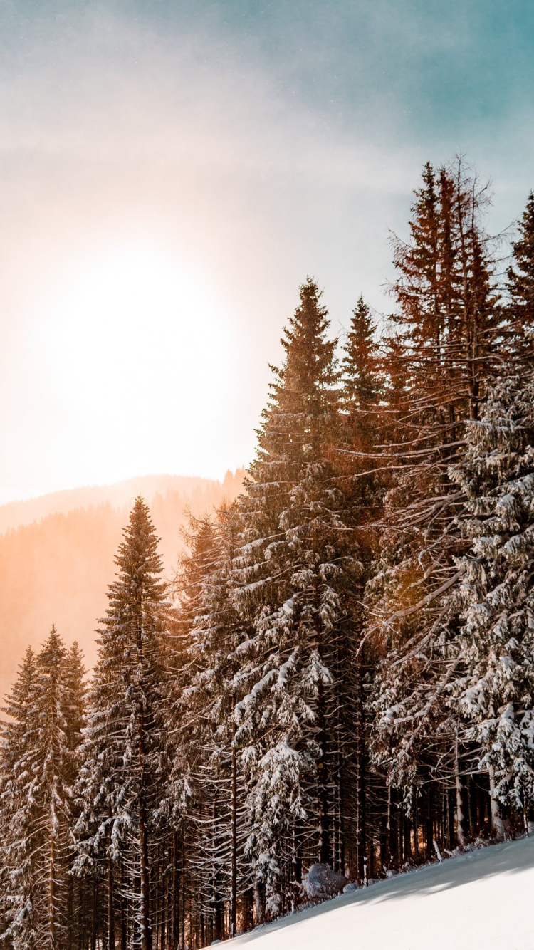 Обои облако, растение, гора, лист, природный ландшафт в разрешении 750x1334