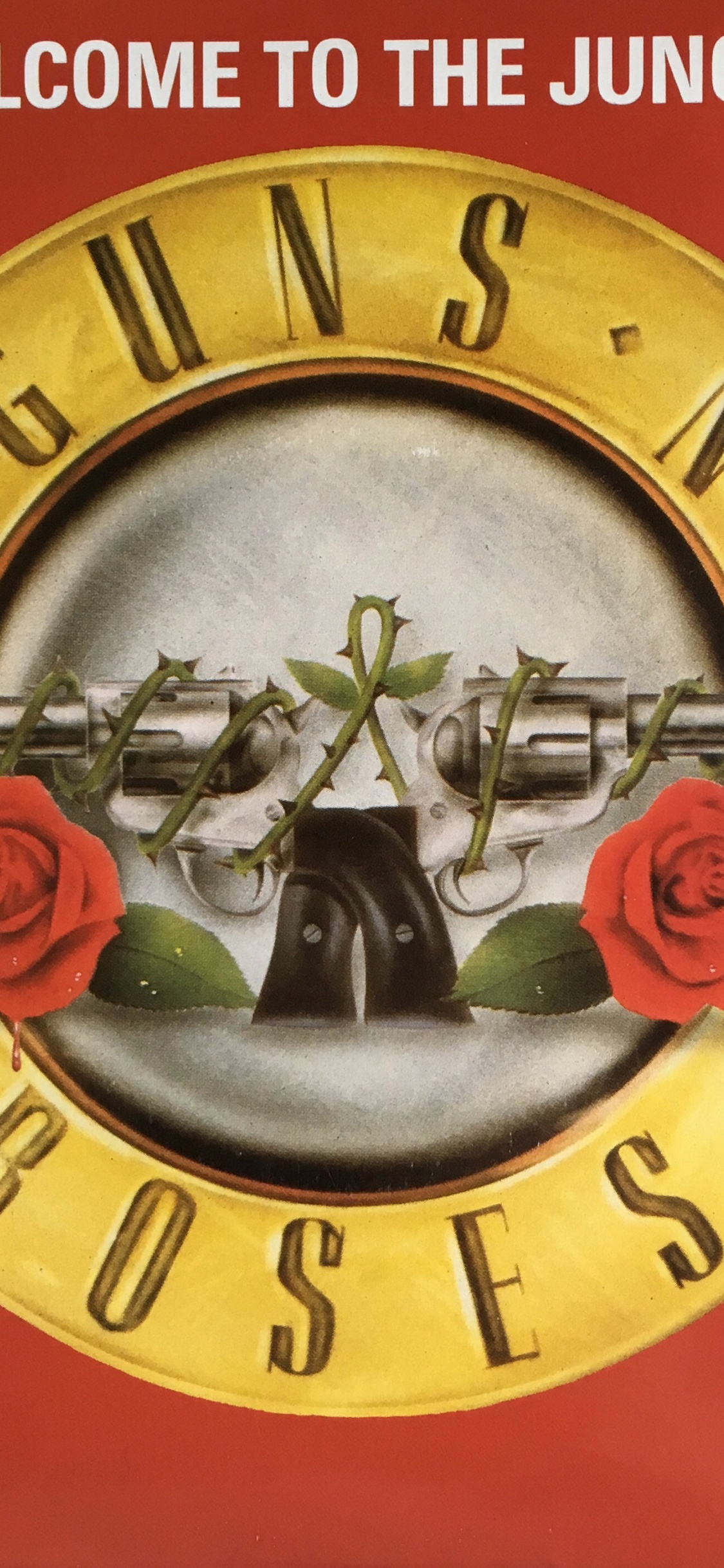 Обои Guns N Roses, тяжелый рок, Добро пожаловать в джунгли, пистолеты и розы добро пожаловать в джунгли, Appetite for Destruction в разрешении 1125x2436