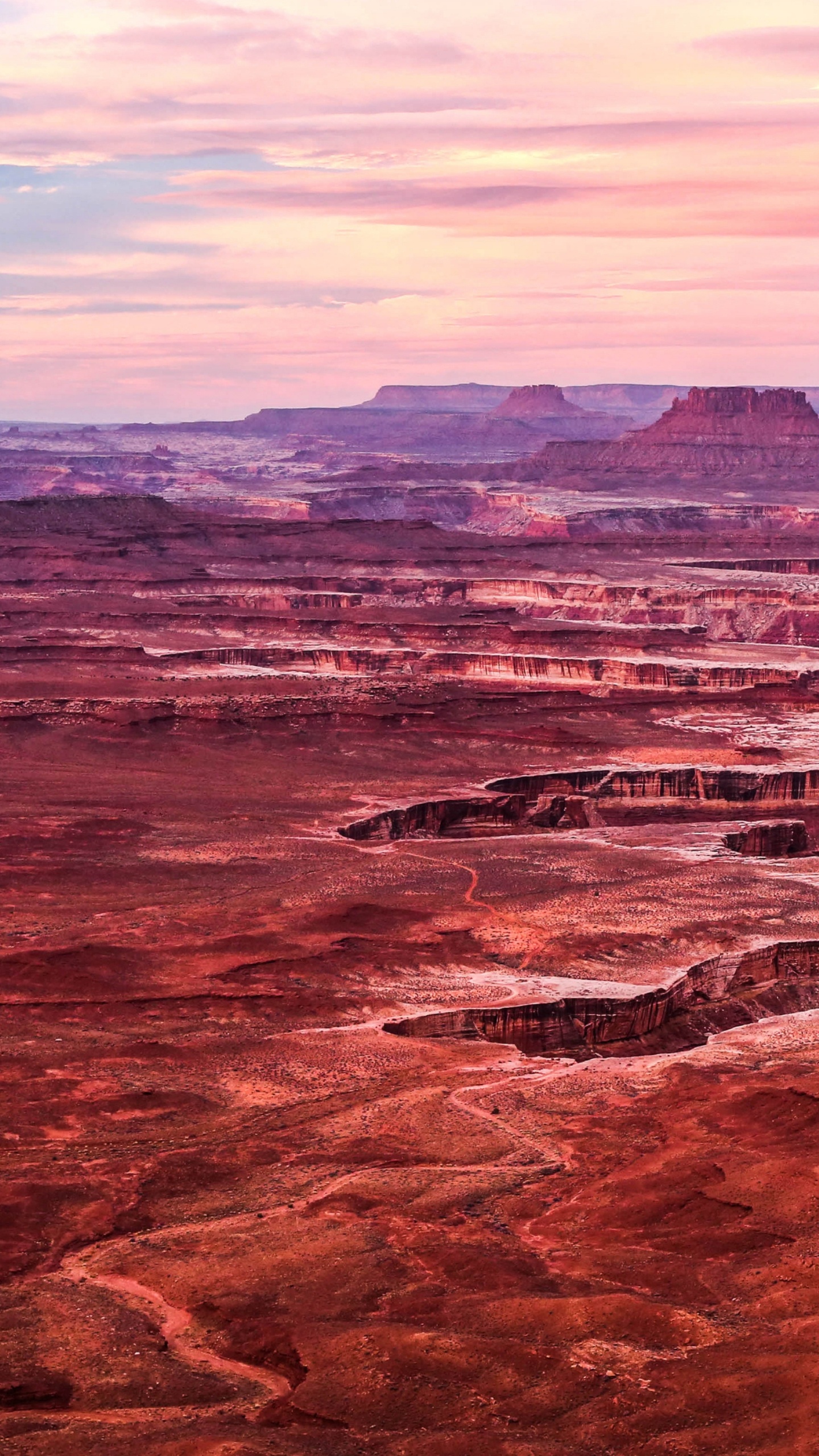 Обои Google Pixel, национальный парк каньонлендс, пиксель, Google Pixel 3a XL, пиксель 4 в разрешении 1440x2560