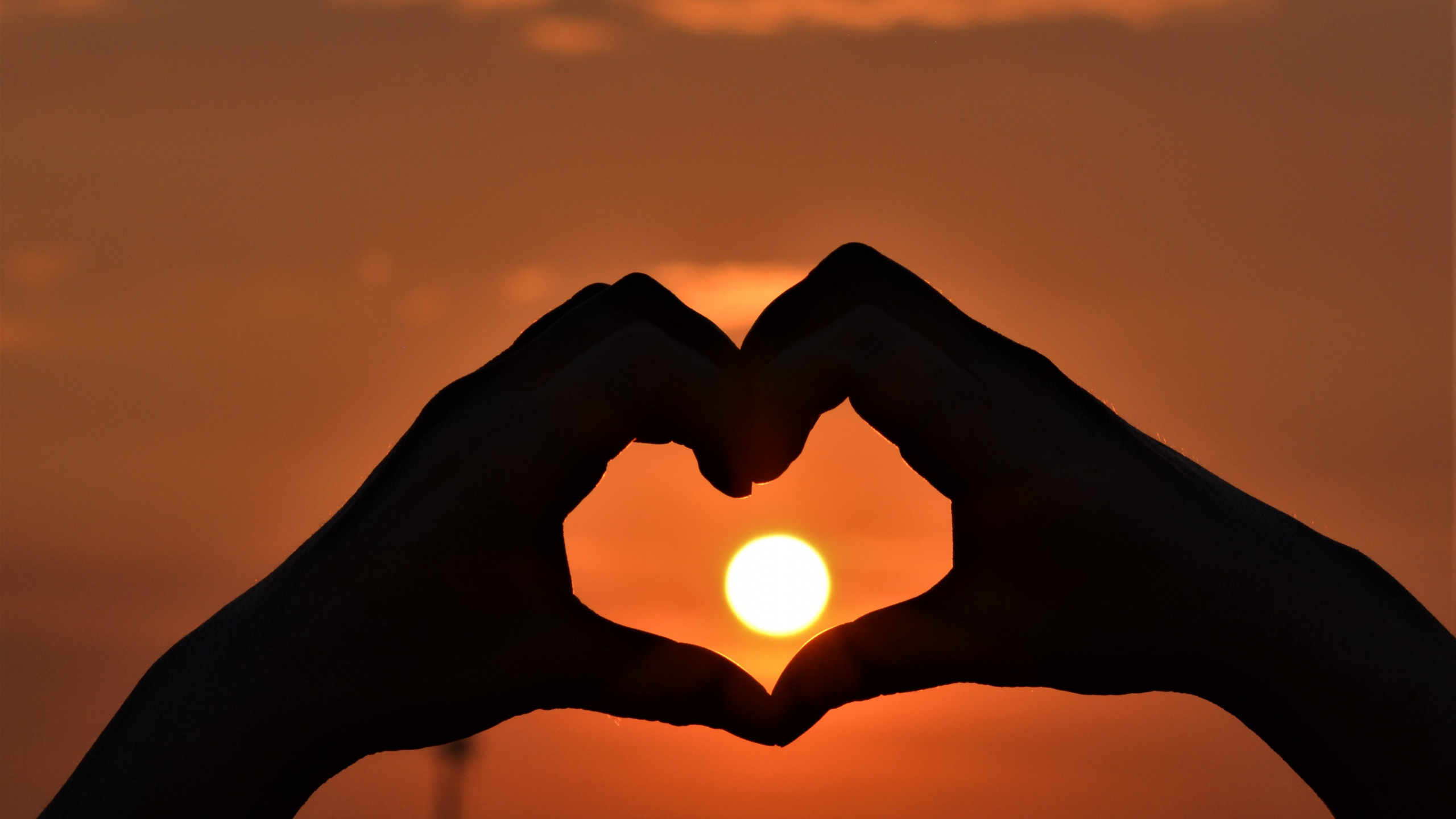 Обои сердце, Рука сердце, роман, любовь, закат в разрешении 2560x1440