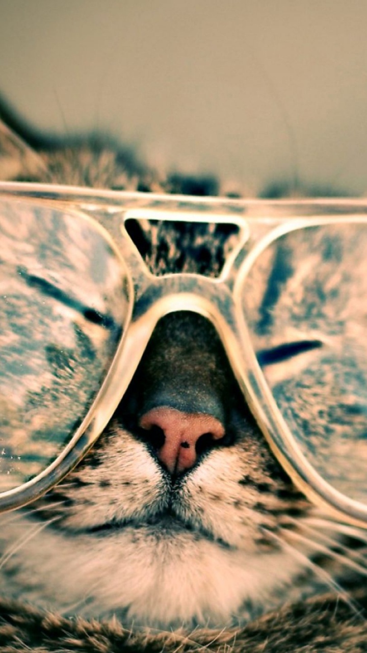 Обои очки, солнечные очки, прохлада, отражение, нос в разрешении 720x1280