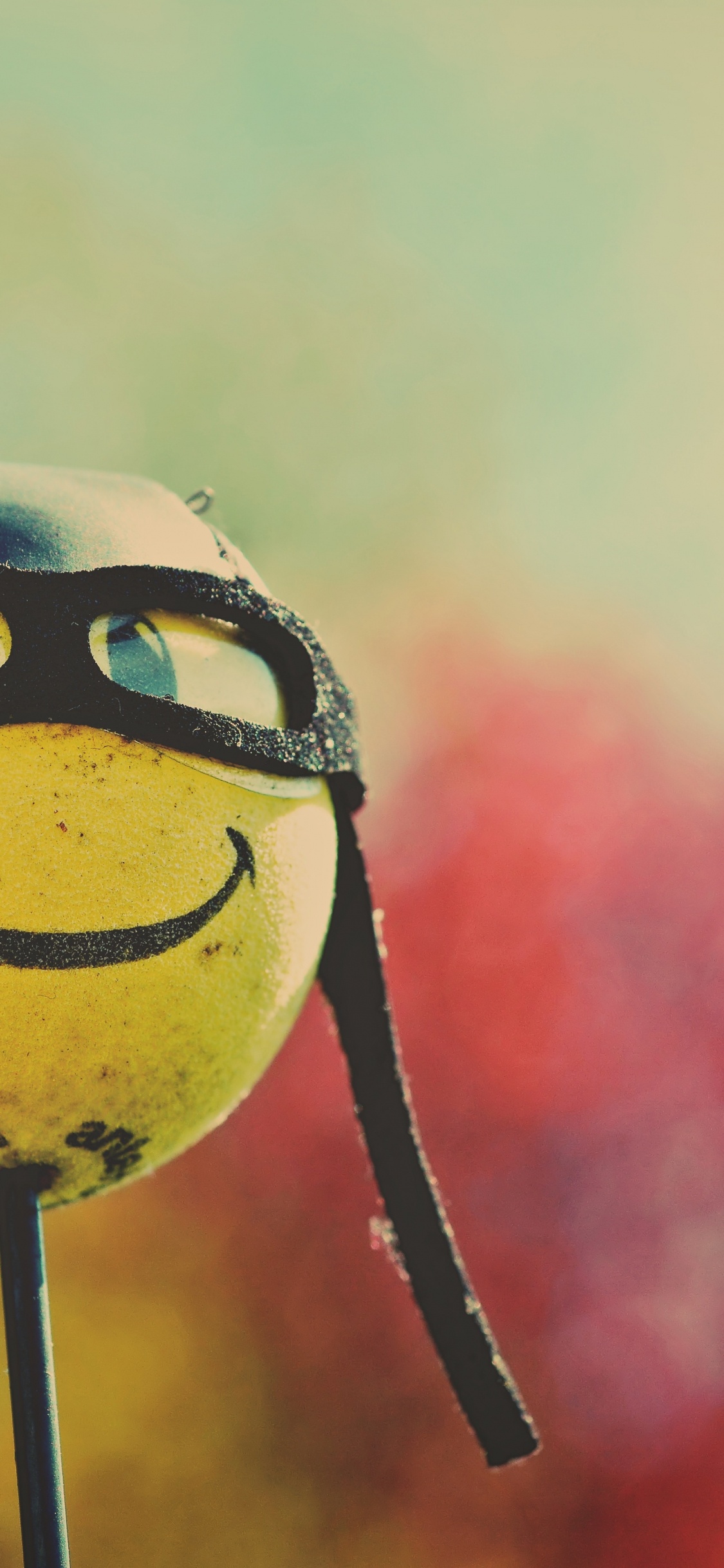 Обои улыбчивый, голова, улыбка, глаз, растение в разрешении 1125x2436