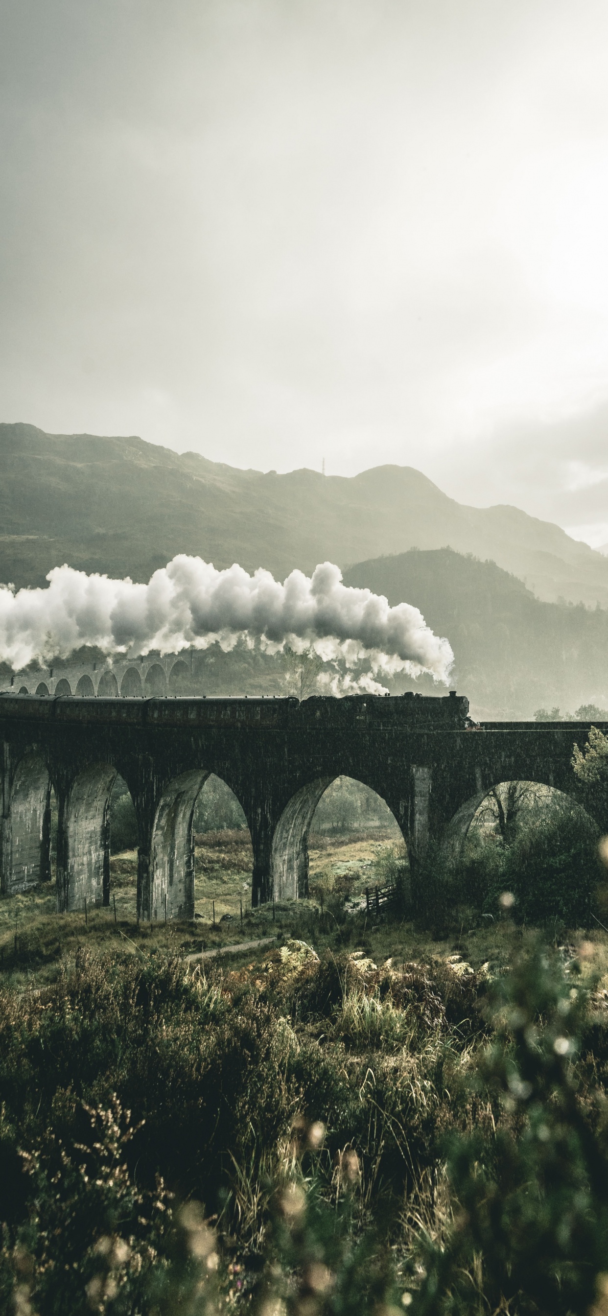 Обои гарри поттер эстетика, Гарри Поттер, Дом Слизерин, эстетика, Драко Малфой в разрешении 1242x2688