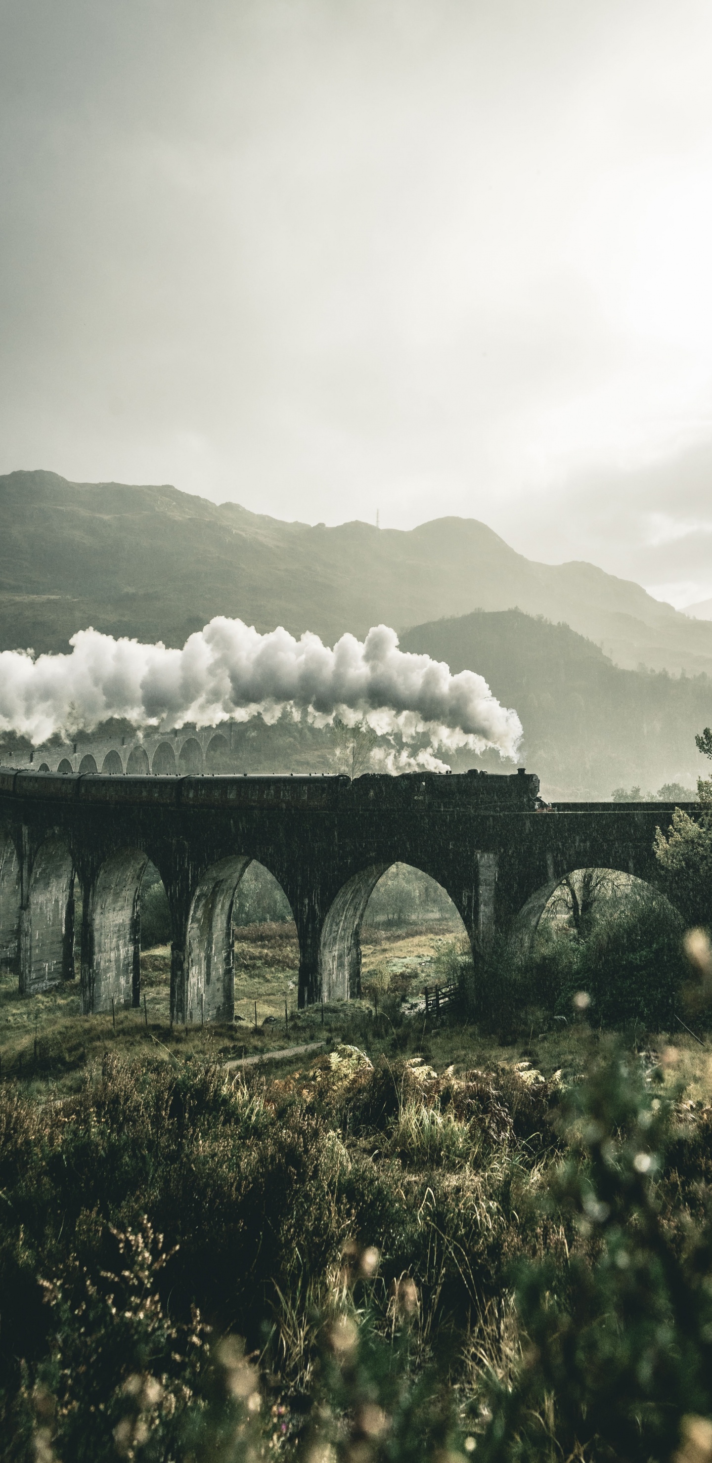 Обои гарри поттер эстетика, Гарри Поттер, Дом Слизерин, эстетика, Драко Малфой в разрешении 1440x2960