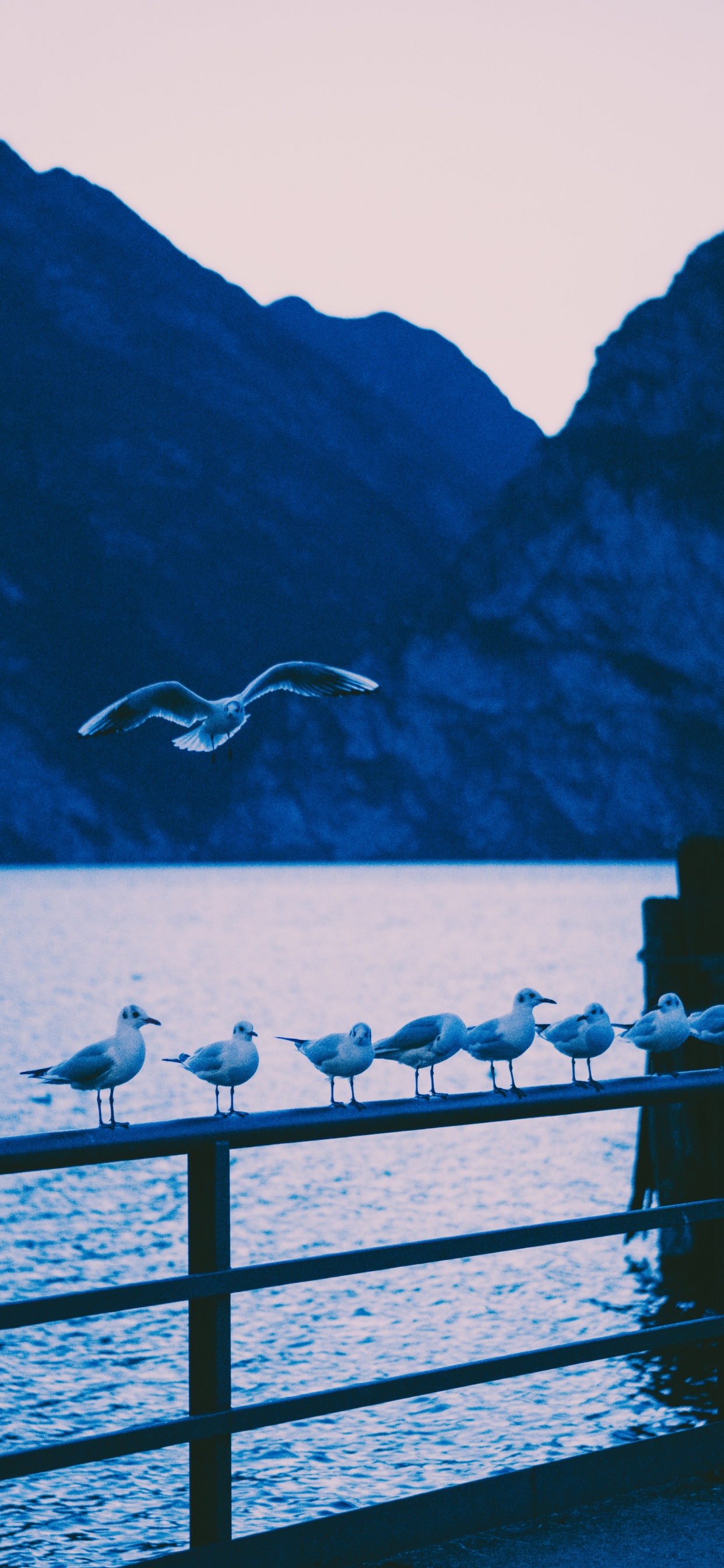 Обои озеро, синий, вода, звук, море в разрешении 1242x2688