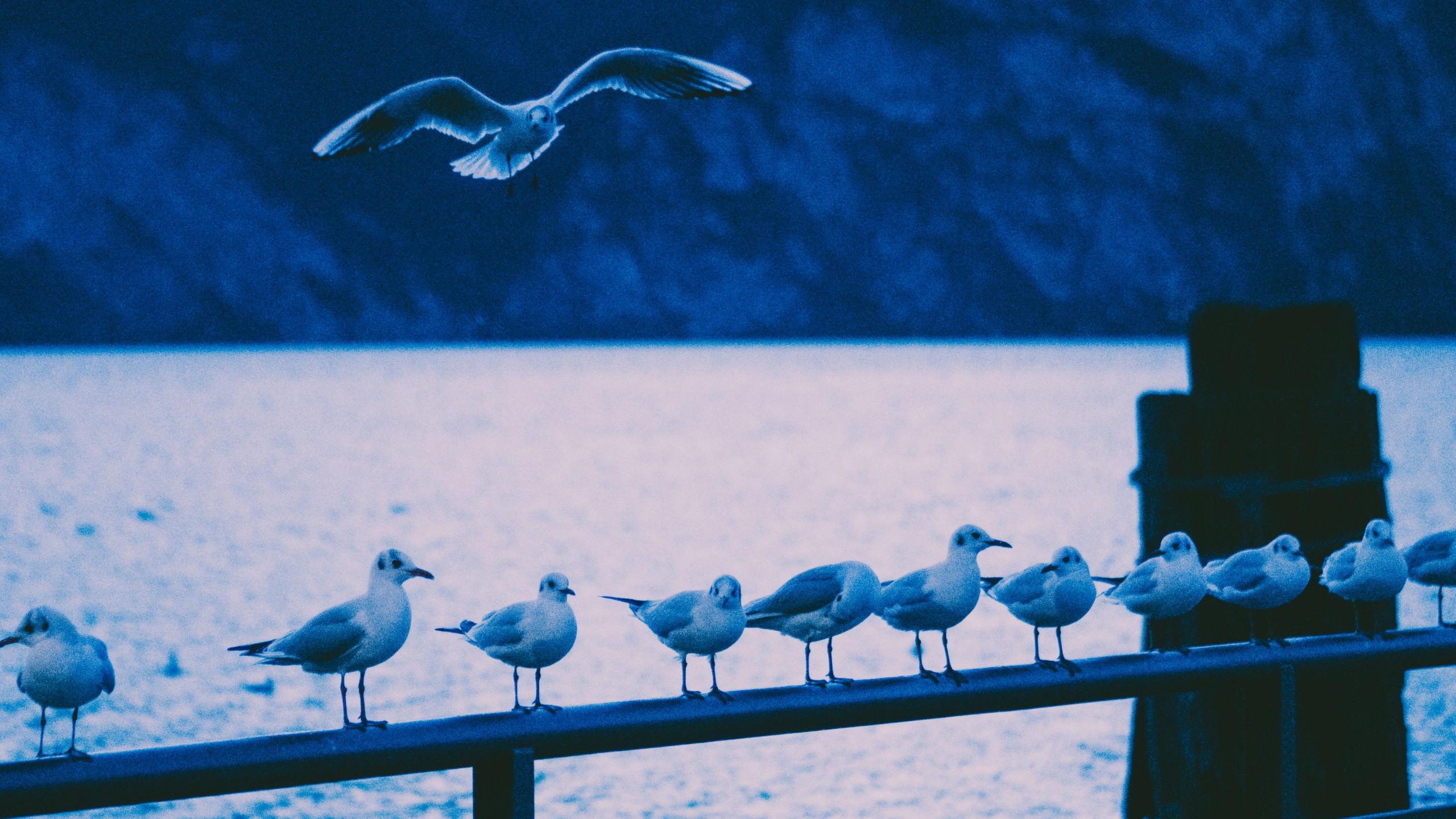 Обои озеро, синий, вода, звук, море в разрешении 2560x1440