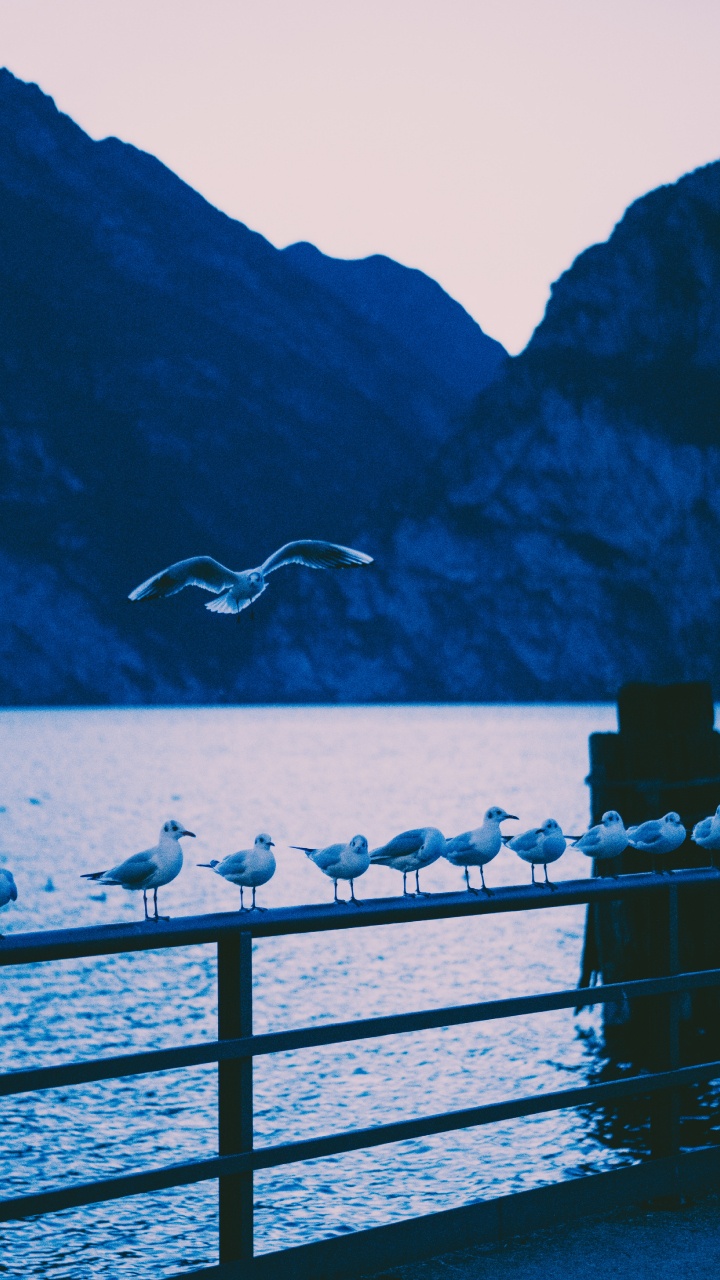 Обои озеро, синий, вода, звук, море в разрешении 720x1280