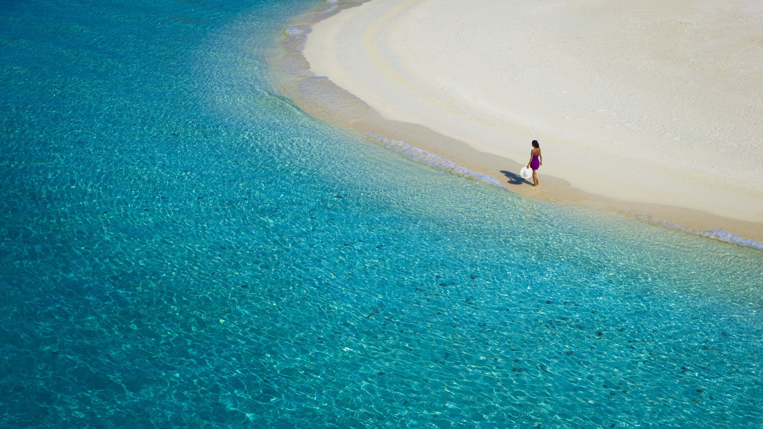 Обои пляж, море, прибежище, синий, лазурный в разрешении 2560x1440