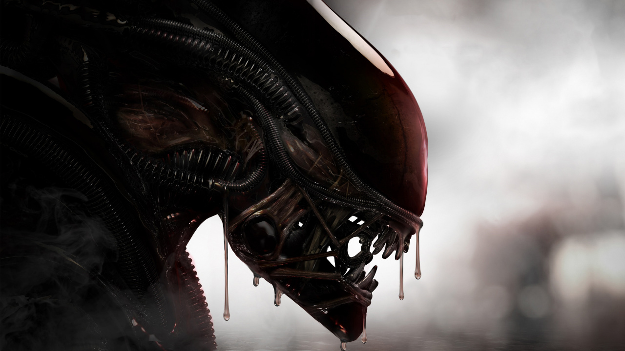 Обои инопланетного ксеноморфа, иностранец, Эллен Рипли, внеземная жизнь, темнота в разрешении 1280x720