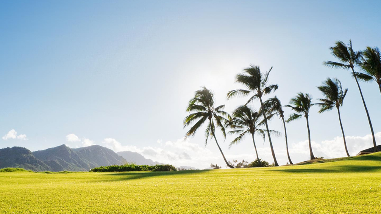 Обои поле, природа, природный ландшафт, сенокосное угодье, зеленый в разрешении 1280x720