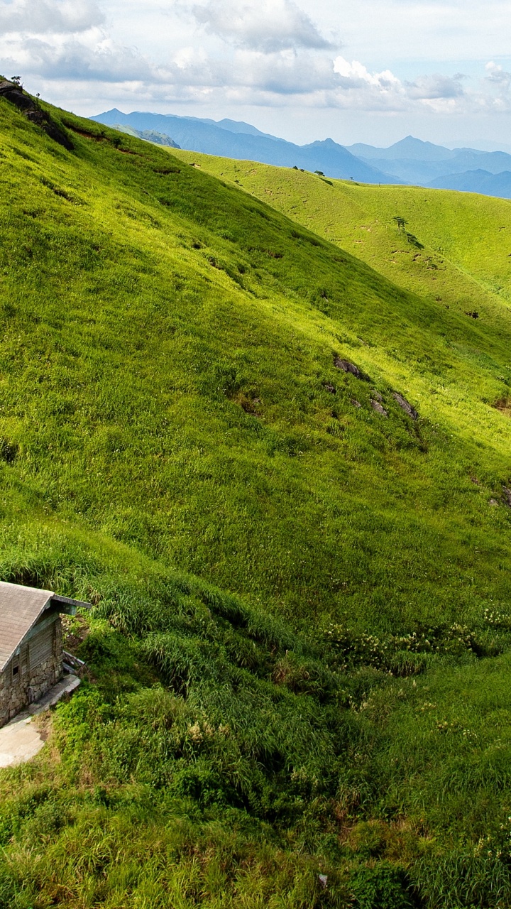 Обои облако, растение, гора, растительное сообщество, экорегион в разрешении 720x1280