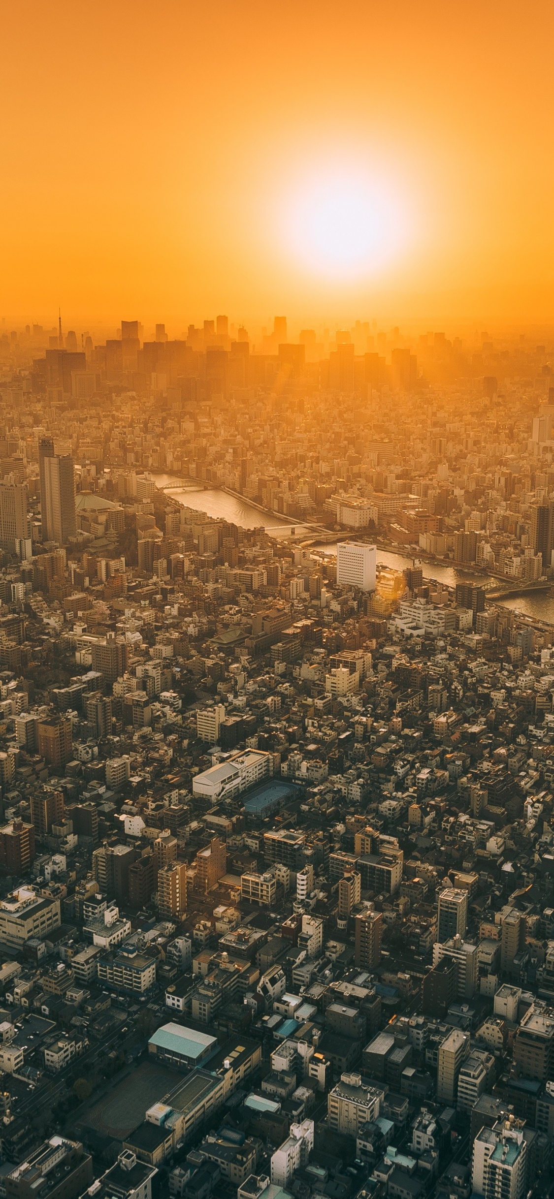 Обои городской район, городской пейзаж, город, метрополия, населенный пункт в разрешении 1125x2436