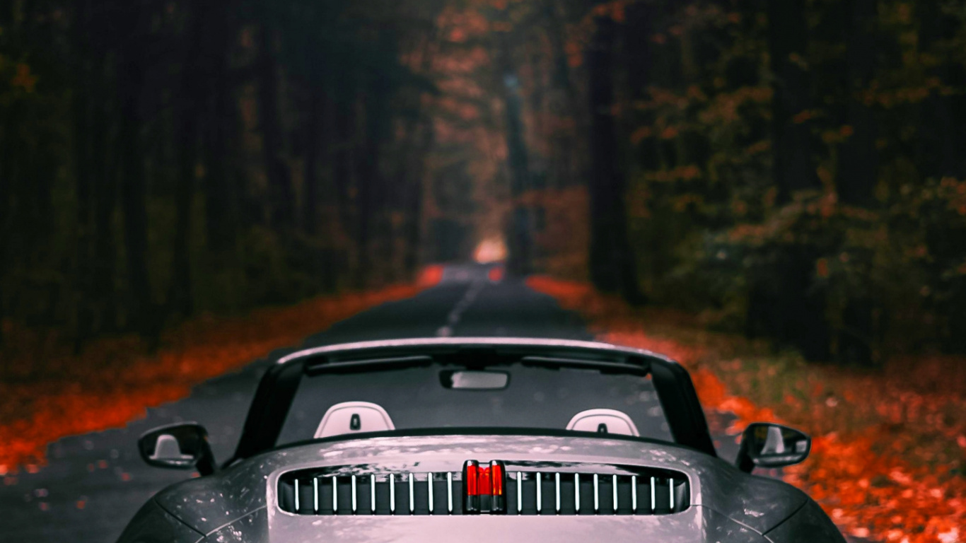 Обои Порше, Порше 911, легковые автомобили, спорткар, Dr ing hcf porsche ag в разрешении 1366x768