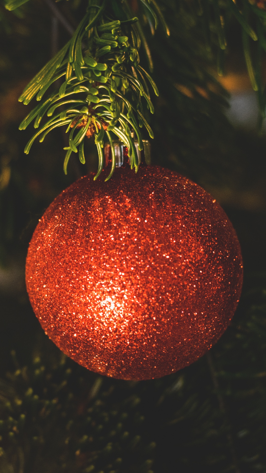 Обои Рождественские украшения, рождественский орнамент, Рождественский день, елка, праздник в разрешении 1080x1920