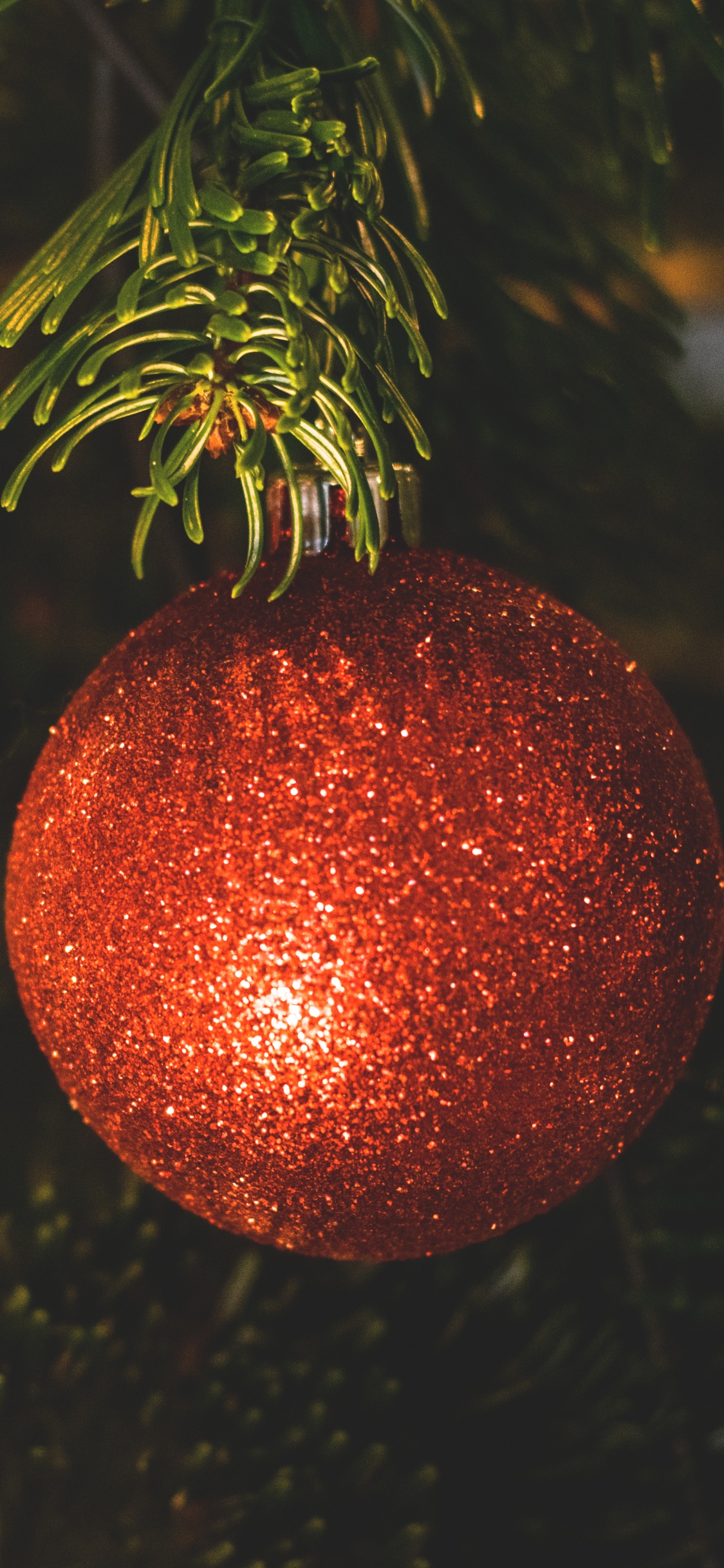 Обои Рождественские украшения, рождественский орнамент, Рождественский день, елка, праздник в разрешении 1125x2436