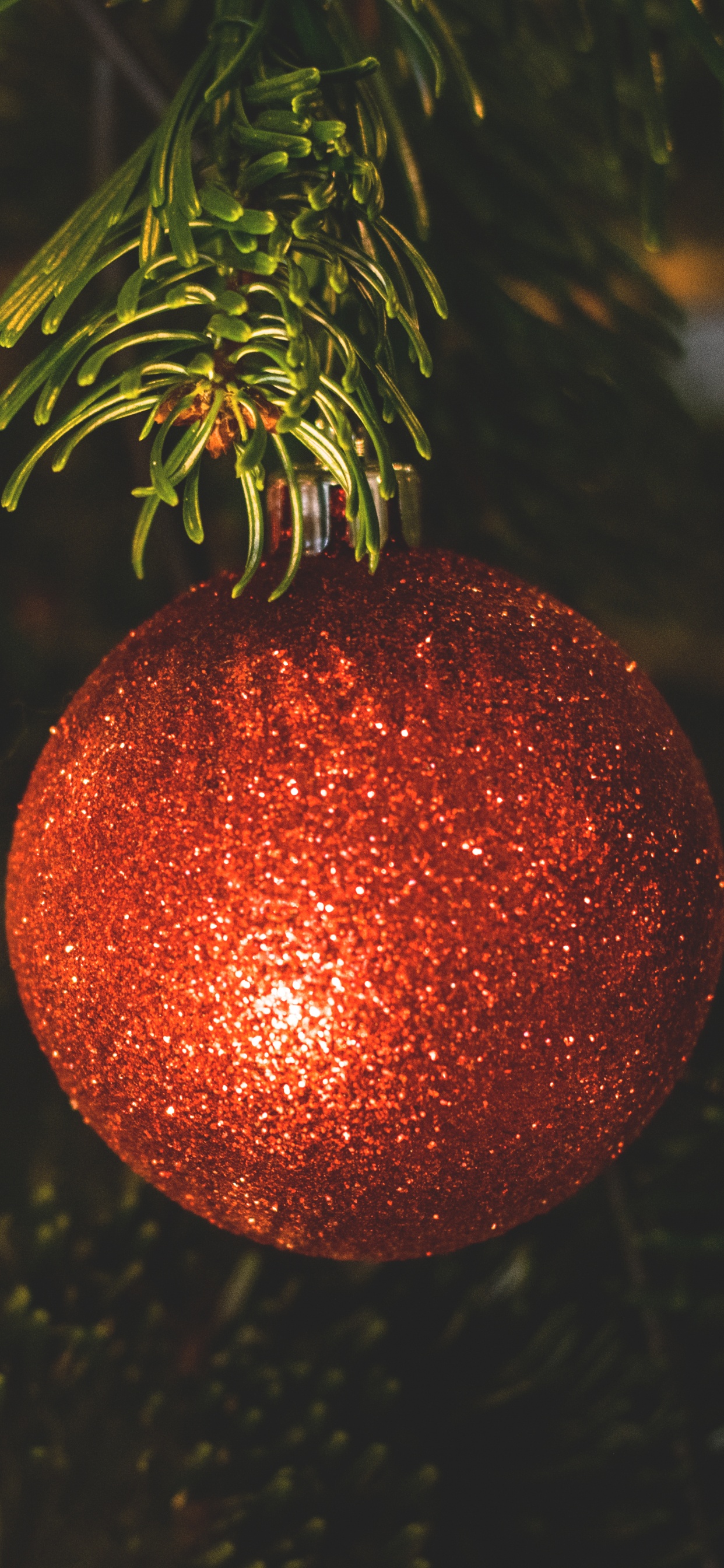 Обои Рождественские украшения, рождественский орнамент, Рождественский день, елка, праздник в разрешении 1242x2688