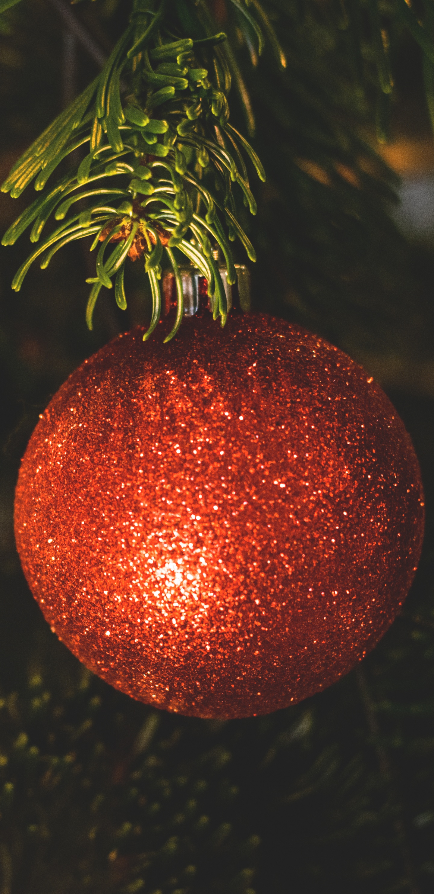 Обои Рождественские украшения, рождественский орнамент, Рождественский день, елка, праздник в разрешении 1440x2960