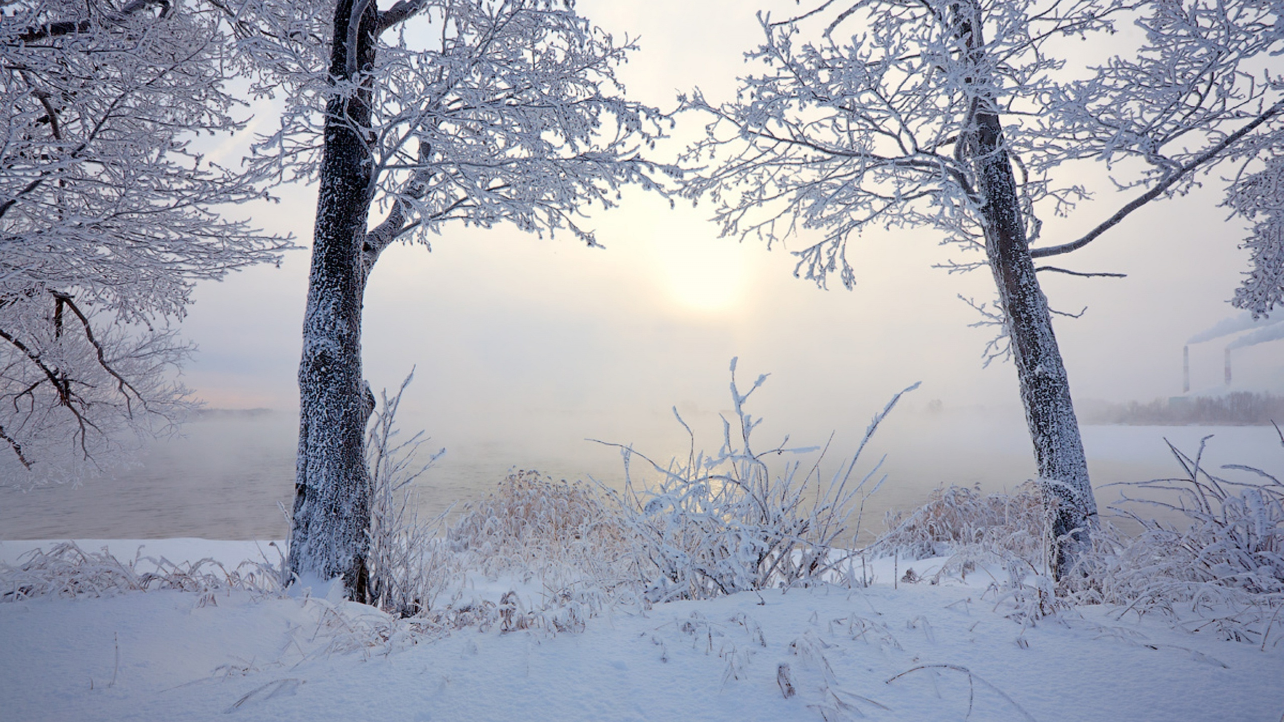 Обои закат, архитектура, зима, снег, дерево в разрешении 2560x1440