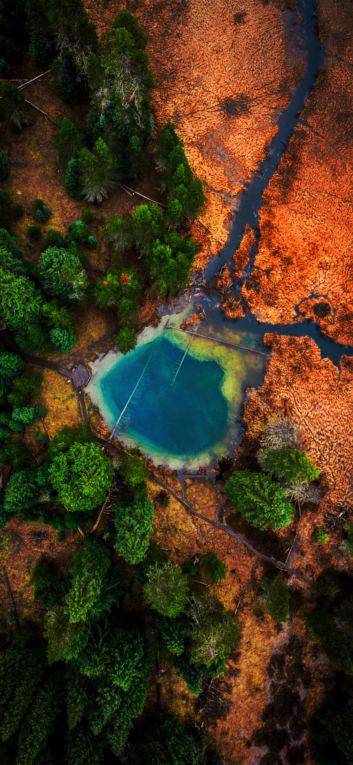 Обои природа, земля, водоток, гидроресурсы, вода в разрешении 1125x2436