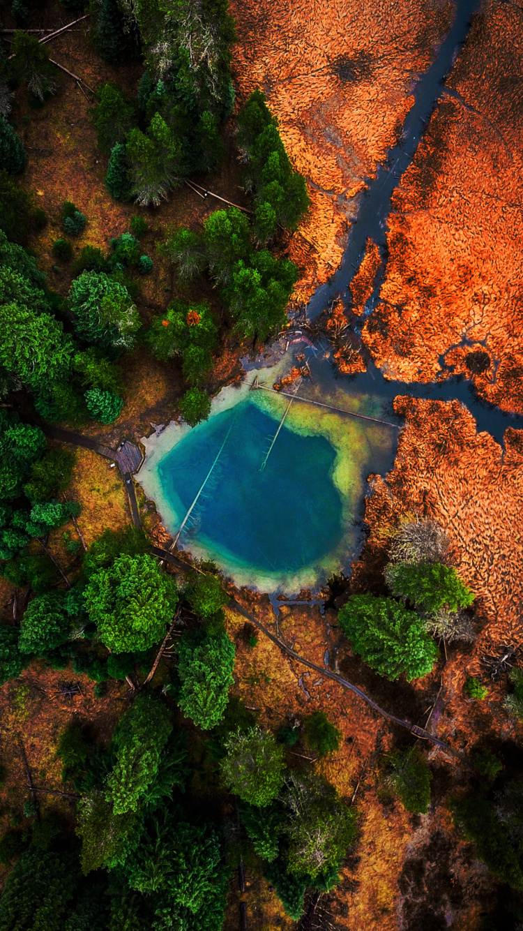 Обои природа, земля, водоток, гидроресурсы, вода в разрешении 750x1334