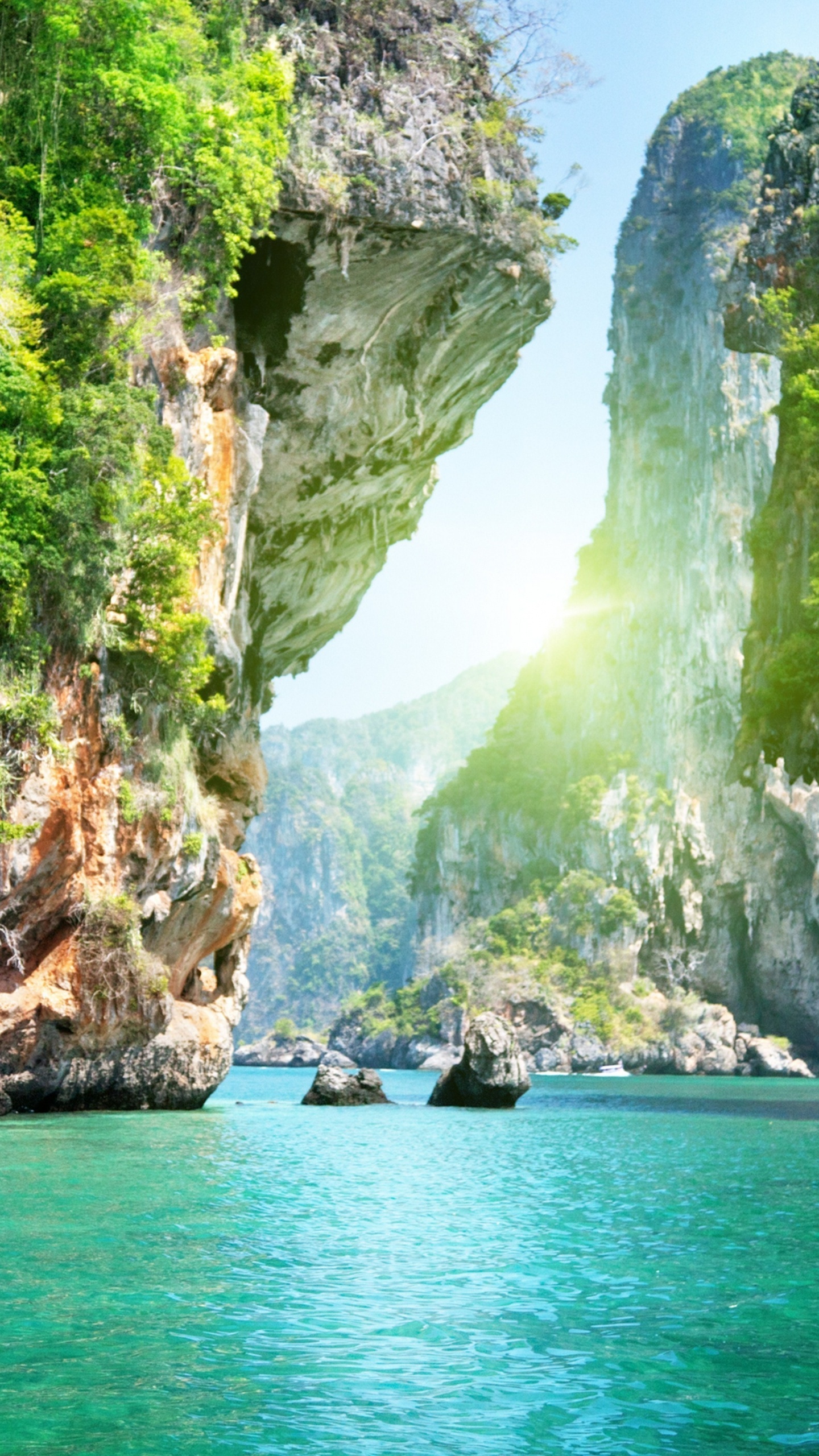 Обои вода, водоем, гидроресурсы, водоток, природа в разрешении 1440x2560