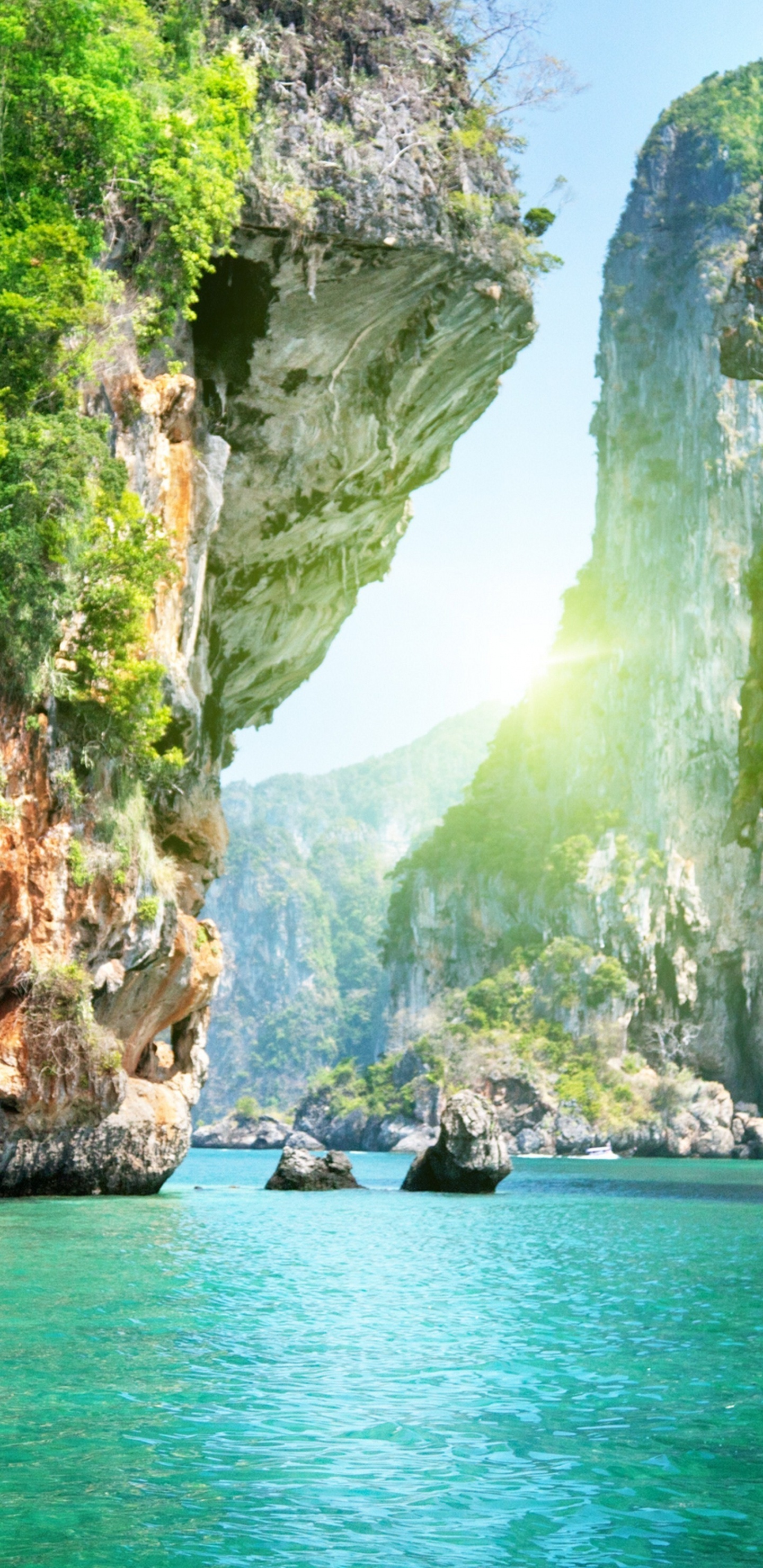 Обои вода, водоем, гидроресурсы, водоток, природа в разрешении 1440x2960