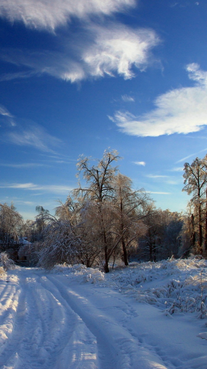 Обои снег, зима, облако, дерево, замораживание в разрешении 720x1280