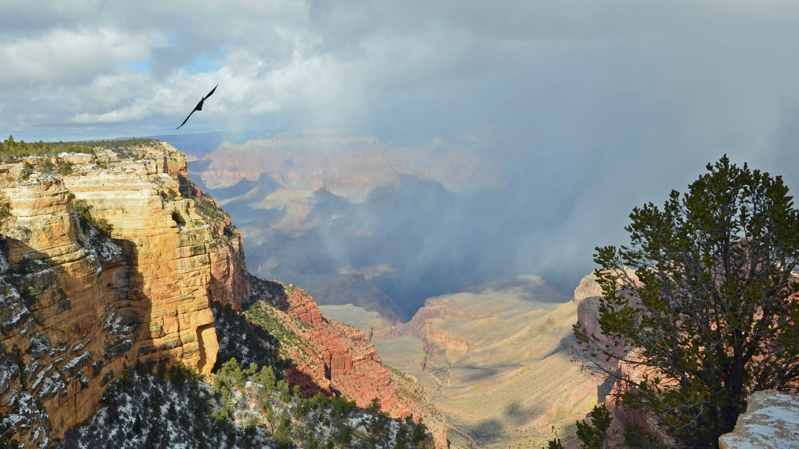 Обои национальный парк Гранд каньон, национальный парк, большой каньон, каньон, Долина в разрешении 2560x1440