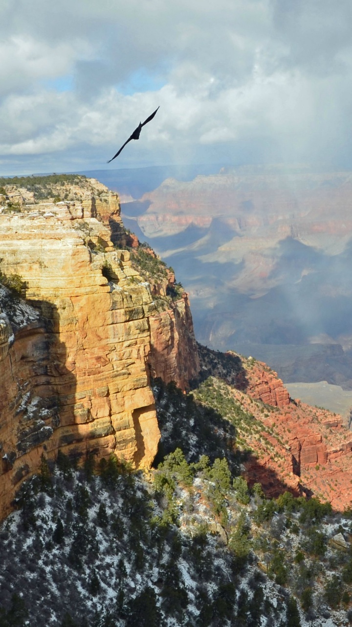 Обои национальный парк Гранд каньон, национальный парк, большой каньон, каньон, Долина в разрешении 720x1280