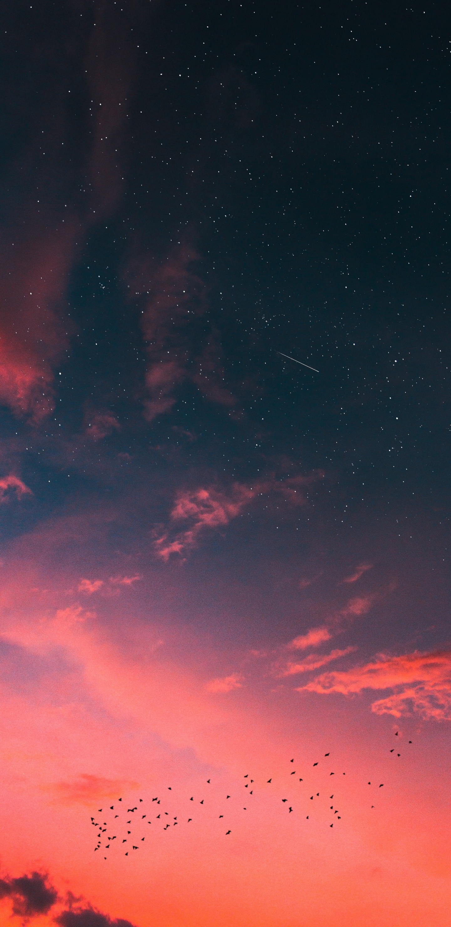 Обои закат, звезда, восход солнца, облако, атмосфера в разрешении 1440x2960