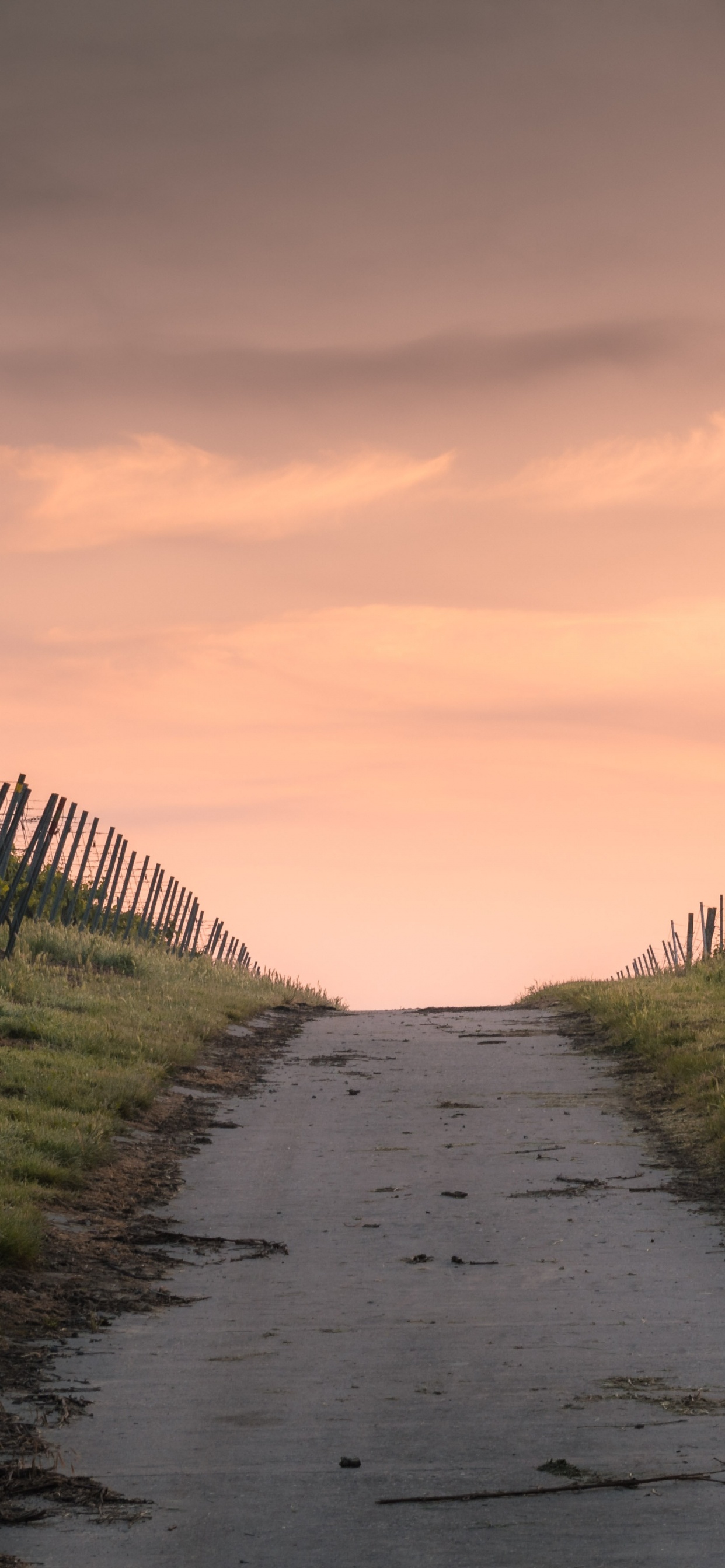 Обои узкая дорога, дорога, облако, растение, природный ландшафт в разрешении 1242x2688