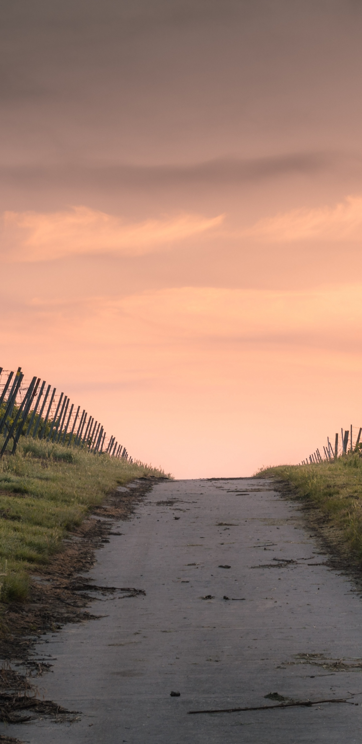 Обои узкая дорога, дорога, облако, растение, природный ландшафт в разрешении 1440x2960