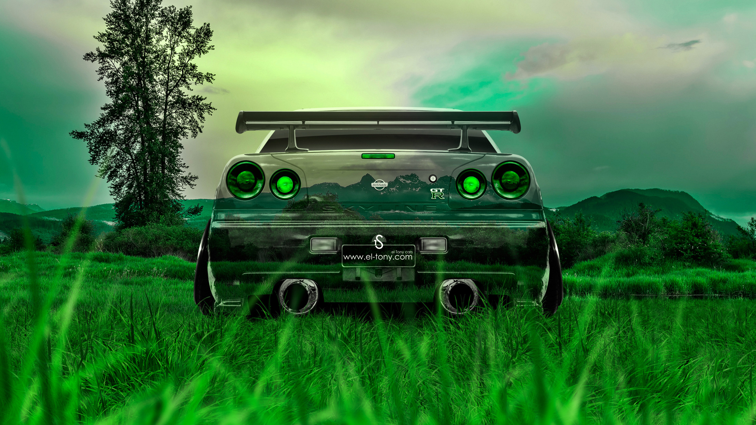 Обои природа, сенокосное угодье, авто, nissan skyline gt r, пастбище в разрешении 2560x1440