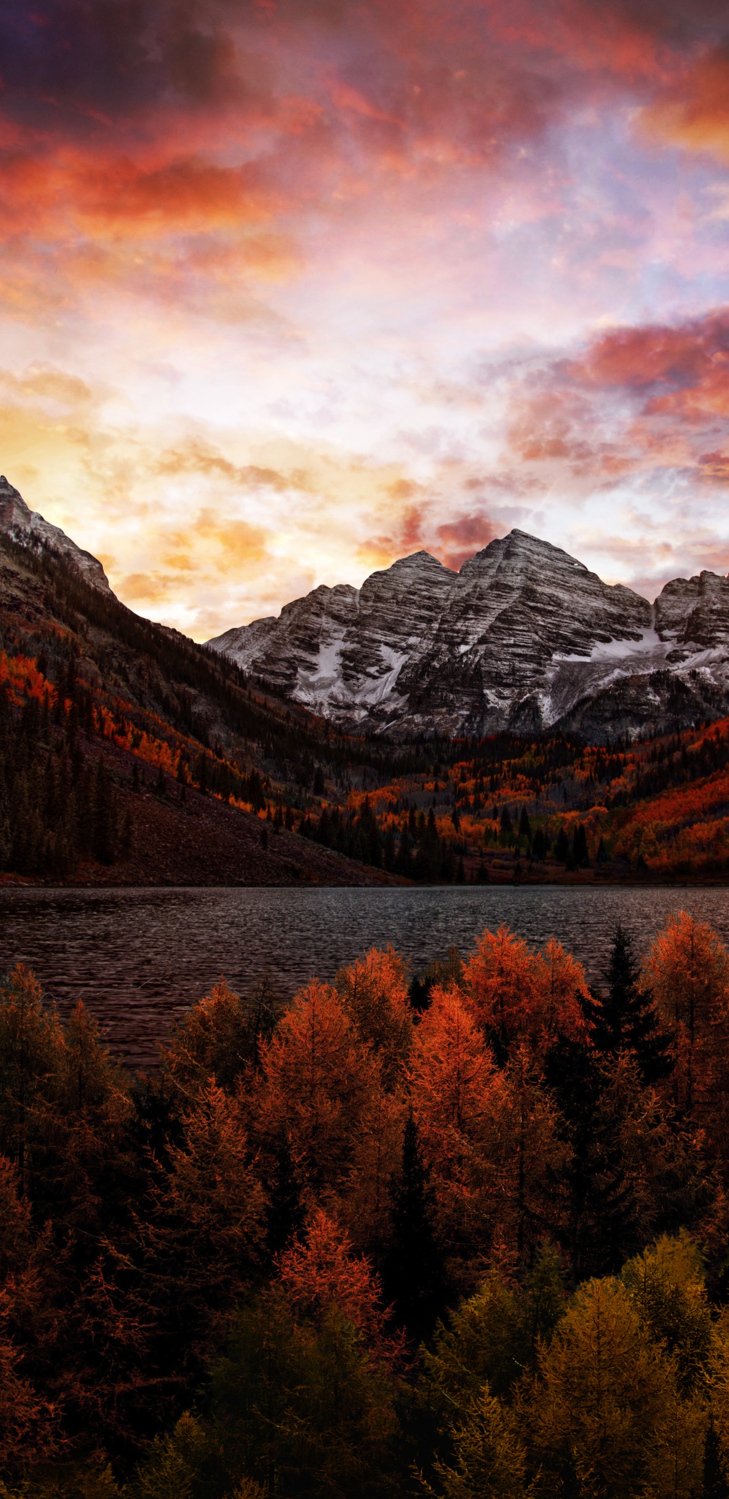 Обои релаксация природа, кит поет мелодию, чтобы заснуть, облако, гора, экорегион в разрешении 1440x2960