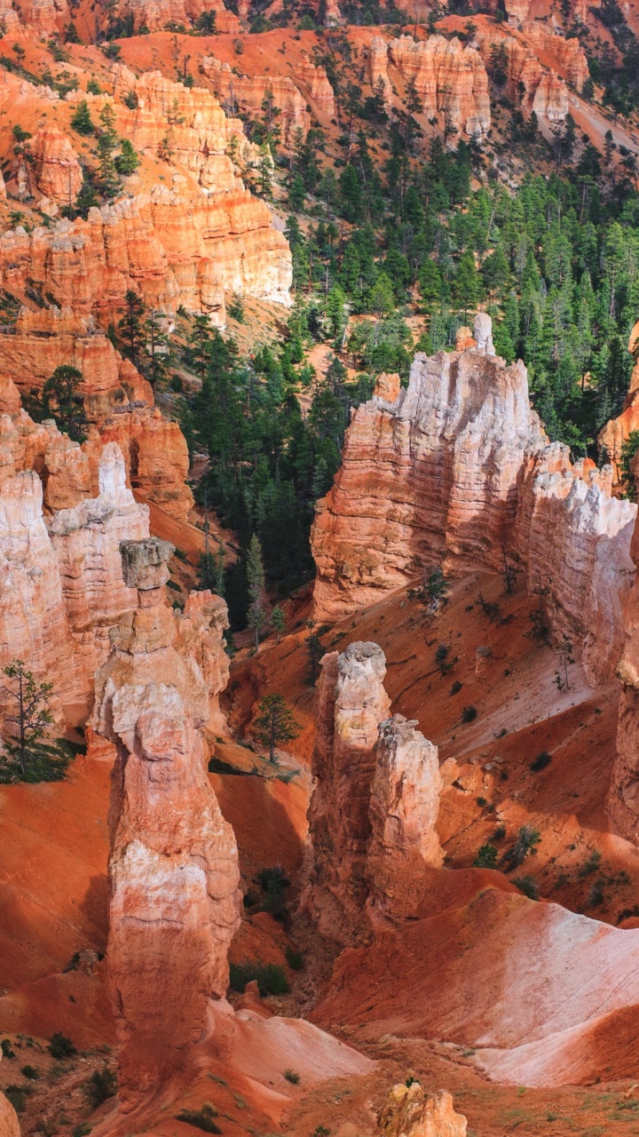 Обои национальный парк Брайсканьон, национальный парк, каньон, парк, национальный парк арки в разрешении 720x1280