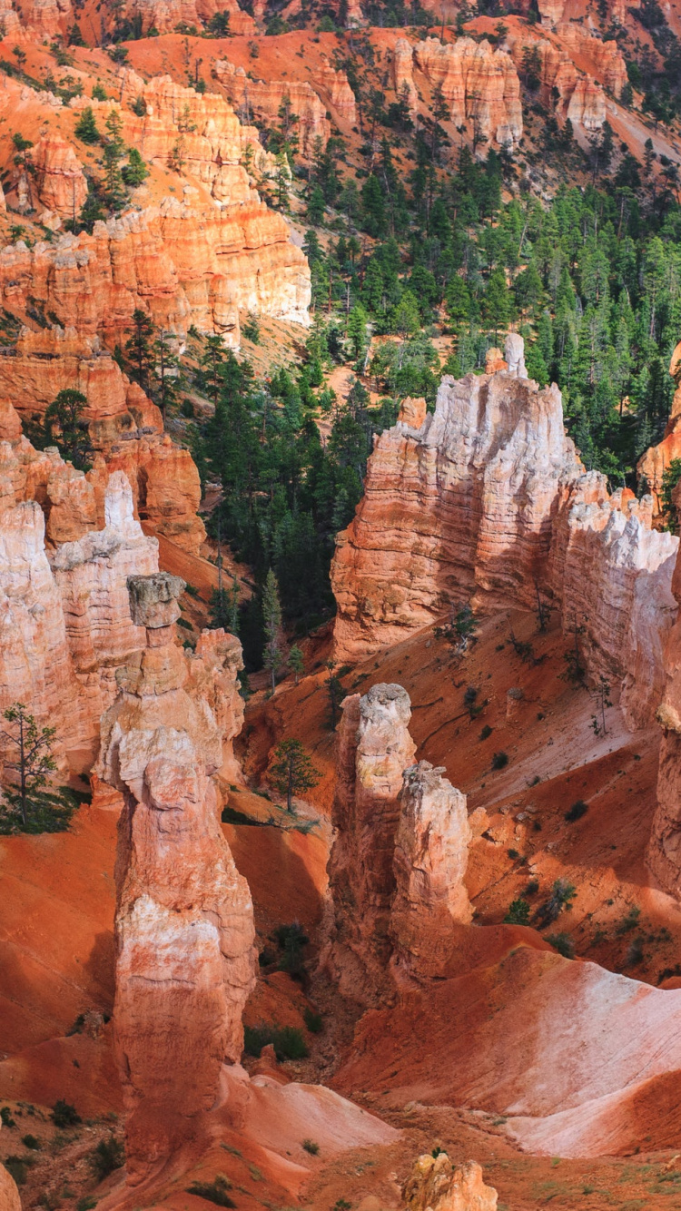 Обои национальный парк Брайсканьон, национальный парк, каньон, парк, национальный парк арки в разрешении 750x1334