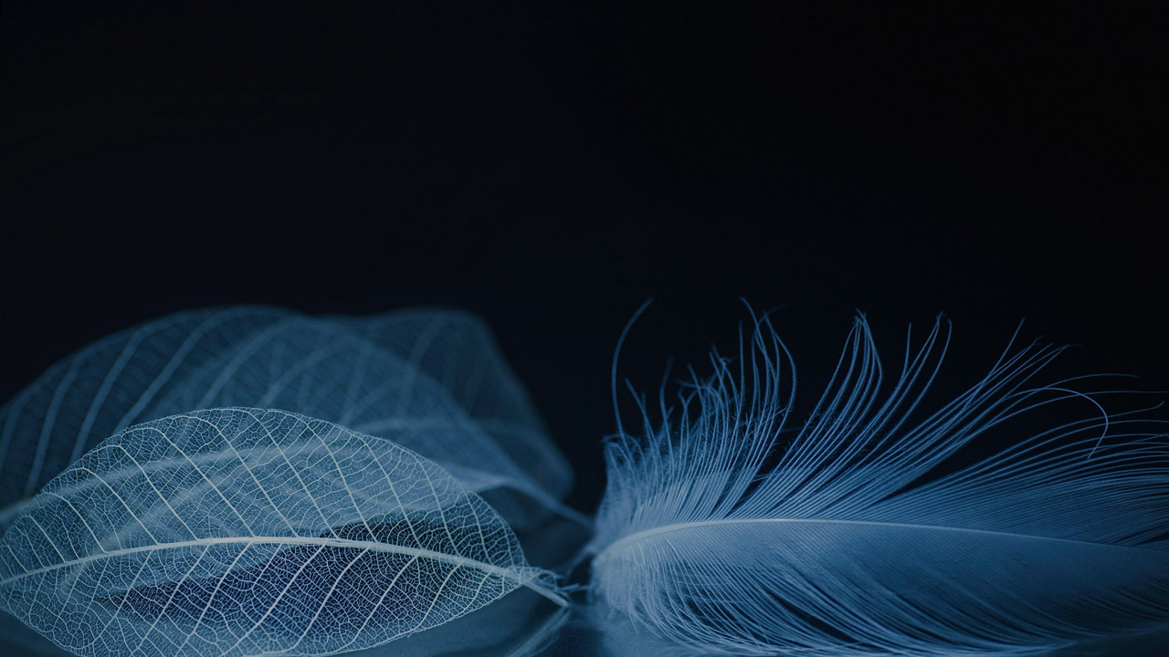 Обои ZTE, ZTE Axon M, zte аксон, zte аксон 10 про, смартфон в разрешении 1280x720