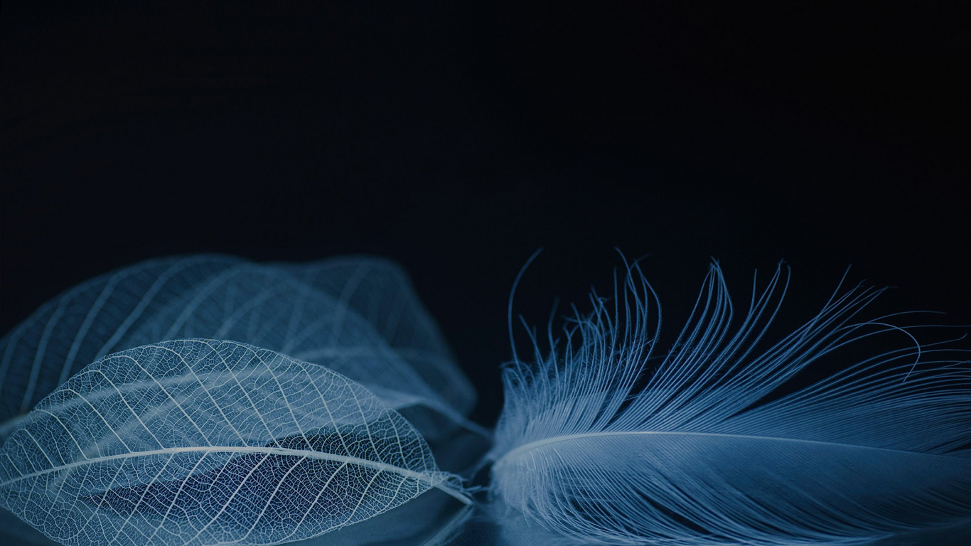 Обои ZTE, ZTE Axon M, zte аксон, zte аксон 10 про, смартфон в разрешении 1366x768