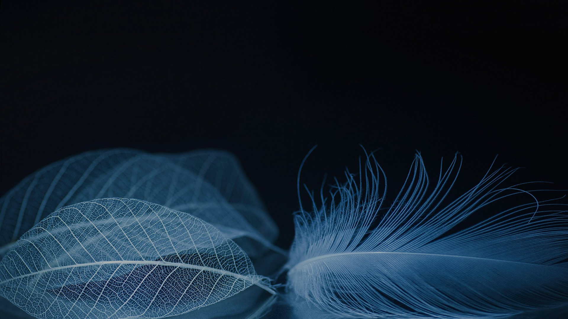 Обои ZTE, ZTE Axon M, zte аксон, zte аксон 10 про, смартфон в разрешении 1920x1080