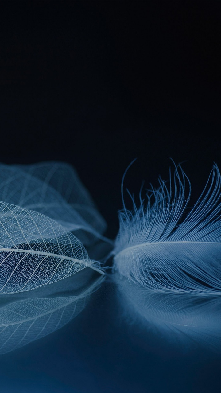 Обои ZTE, ZTE Axon M, zte аксон, zte аксон 10 про, смартфон в разрешении 720x1280