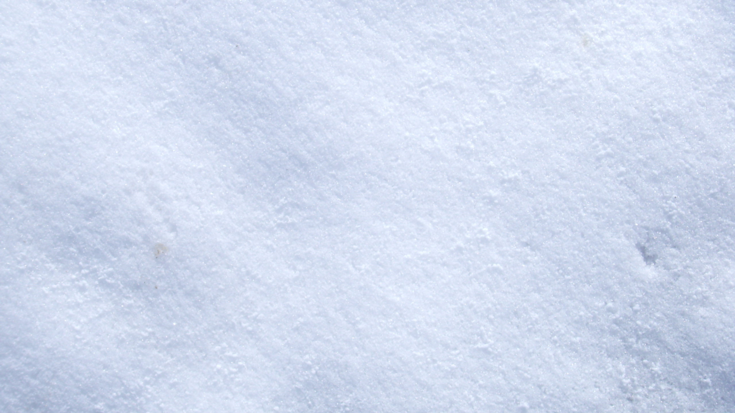 Обои снег, белые, замораживание, мороз, зима в разрешении 2560x1440