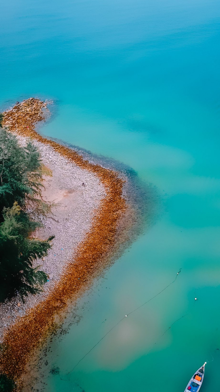 Обои море, океан, берег, вода, растение в разрешении 750x1334