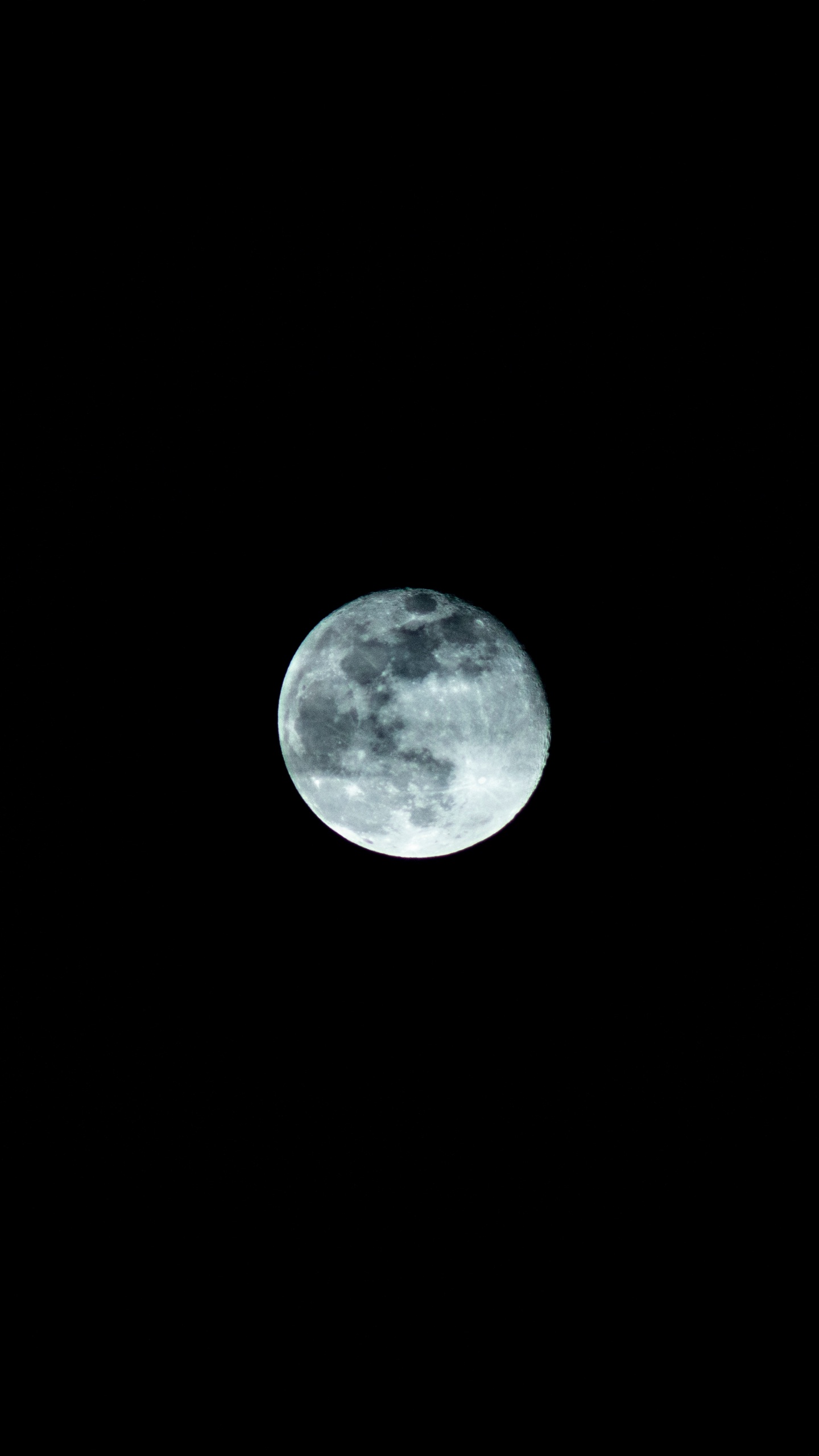 Обои луна, лунный свет, голубая луна, астрономический объект, небесное явление в разрешении 1440x2560