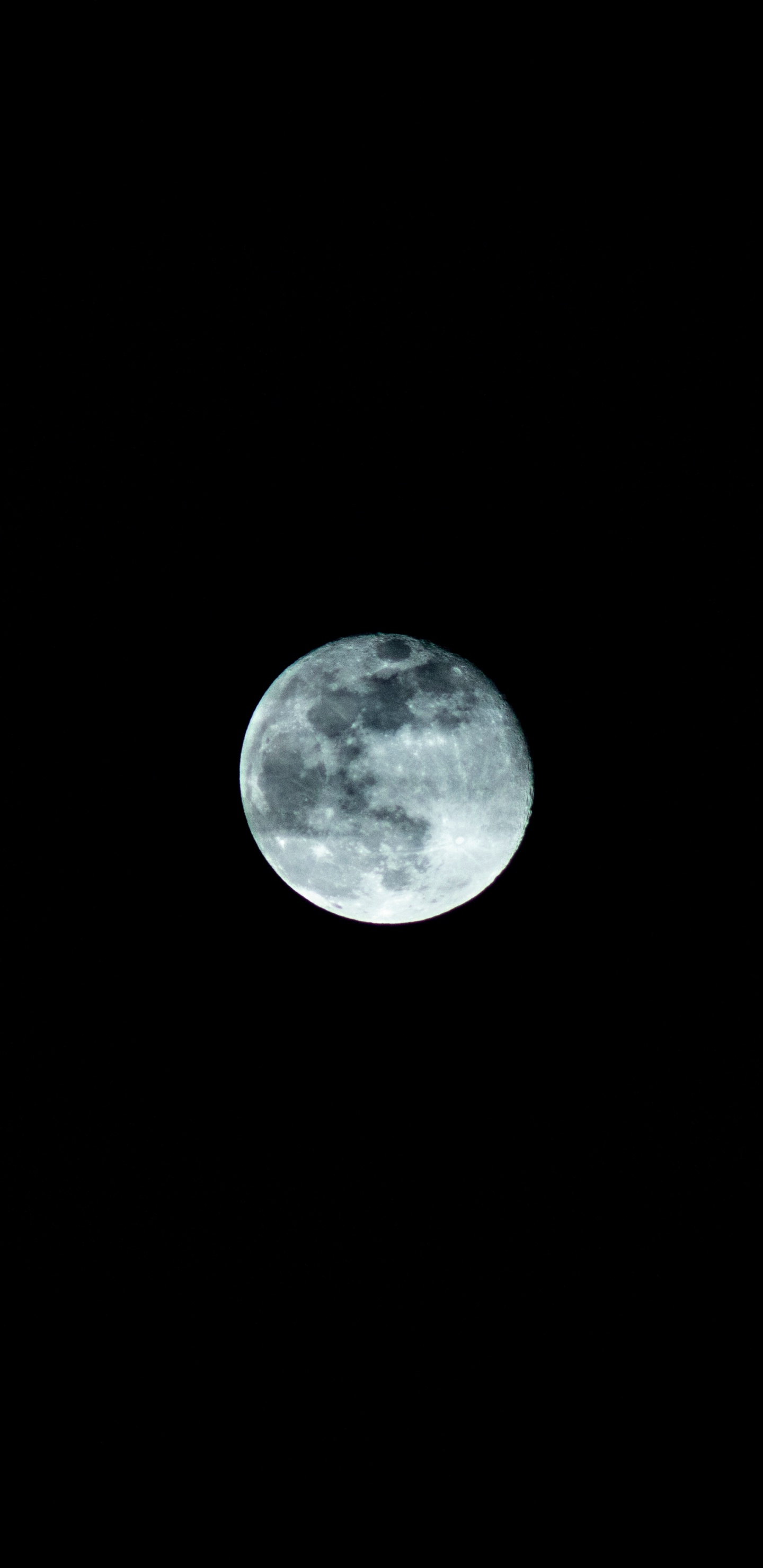 Обои луна, лунный свет, голубая луна, астрономический объект, небесное явление в разрешении 1440x2960