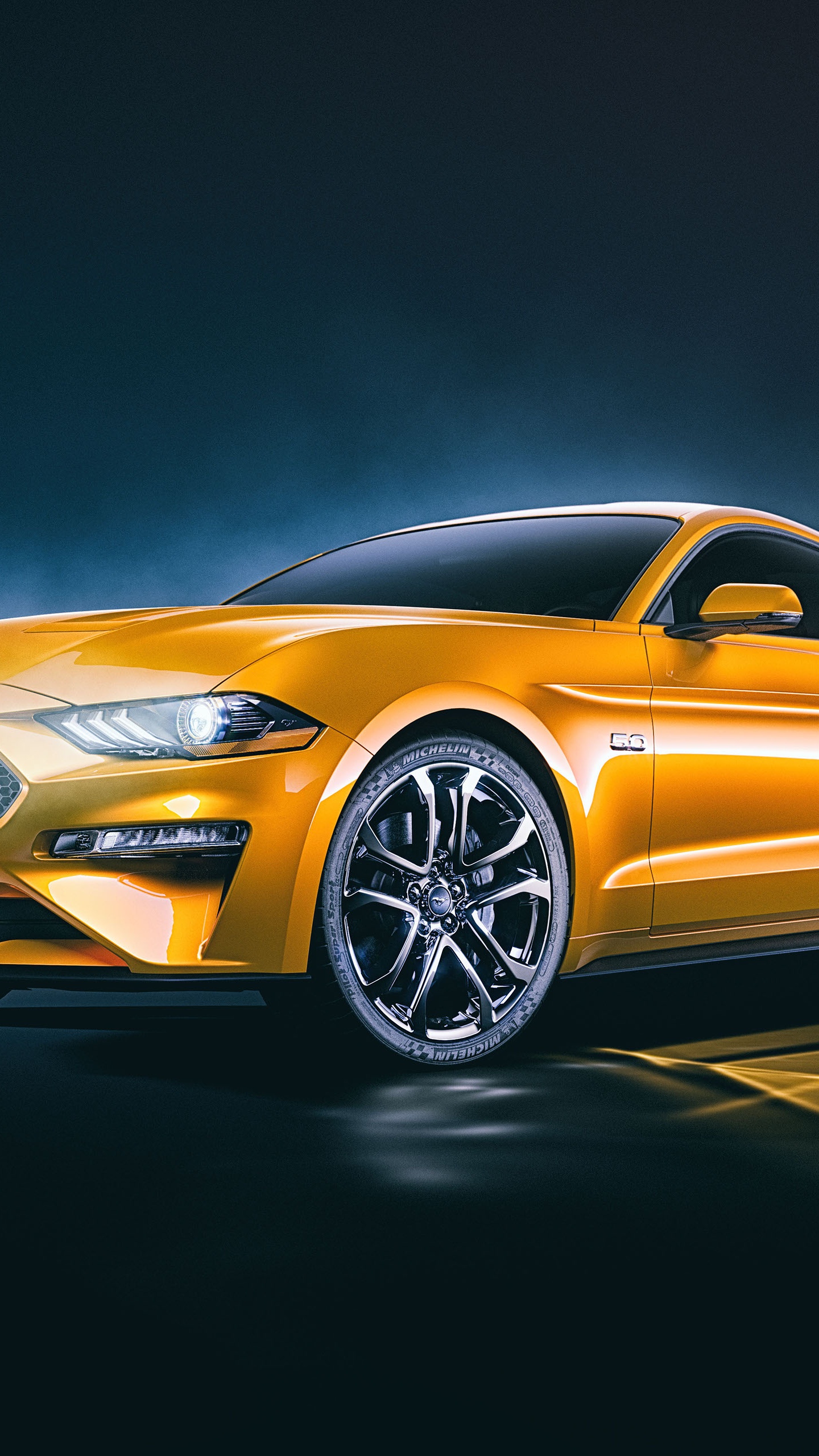 Обои Форд Мустанг, авто, ford gt, ford, спорткар в разрешении 1440x2560